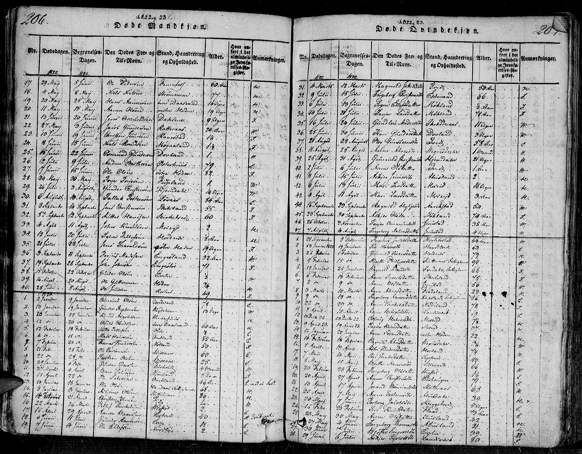 Evje sokneprestkontor, AV/SAK-1111-0008/F/Fa/Faa/L0004: Parish register (official) no. A 4, 1816-1840, p. 206-207