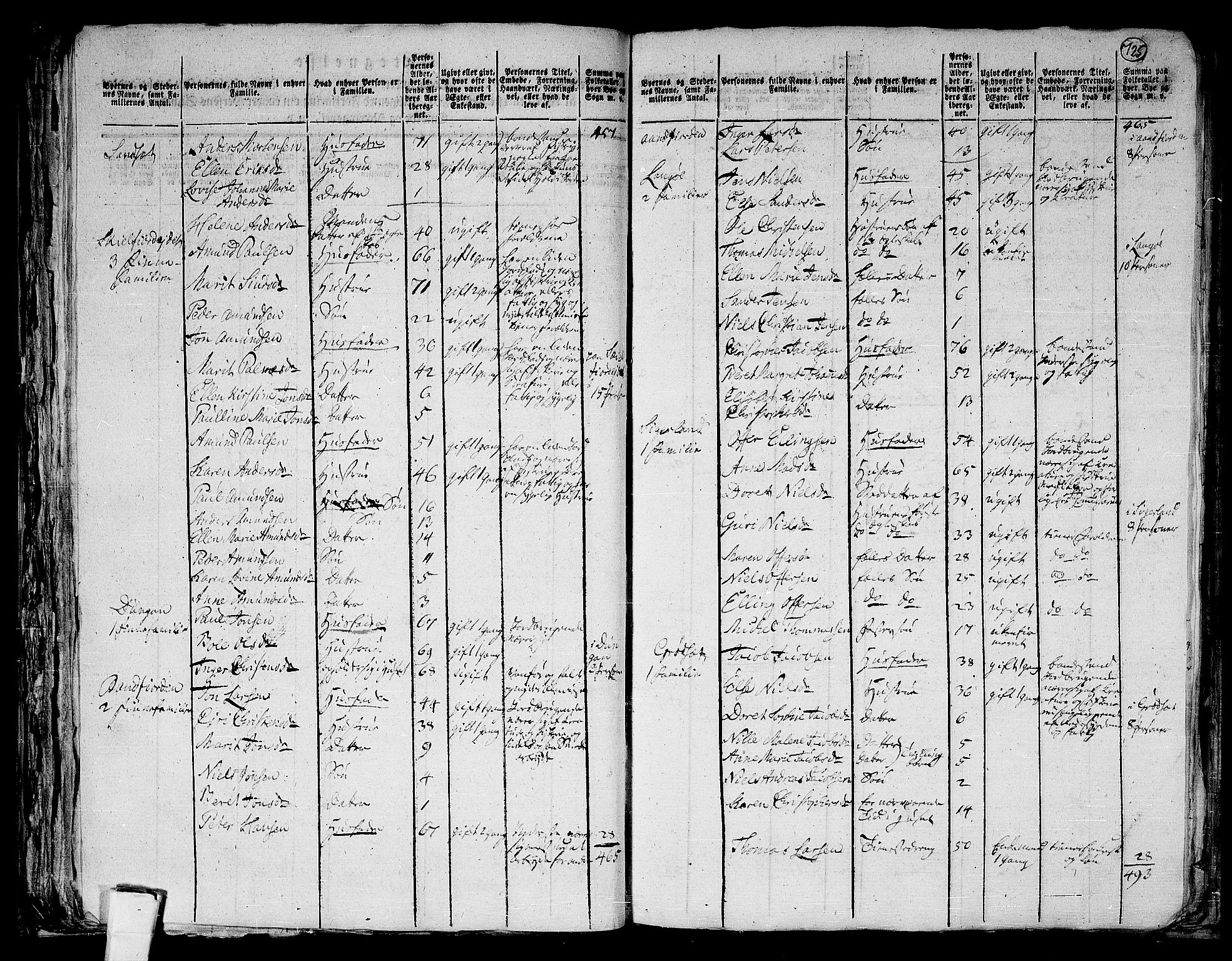 RA, 1801 census for 1868P Øksnes, 1801, p. 724b-725a