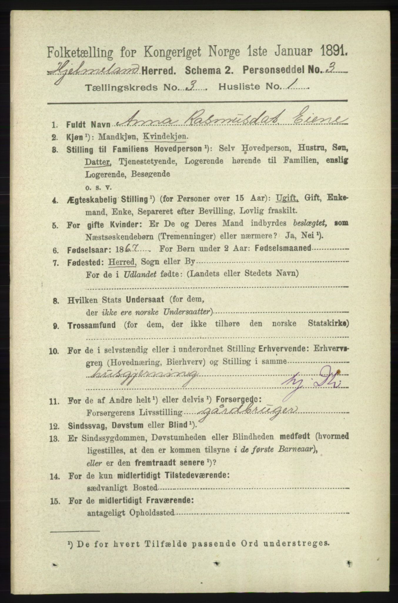 RA, 1891 census for 1133 Hjelmeland, 1891, p. 739