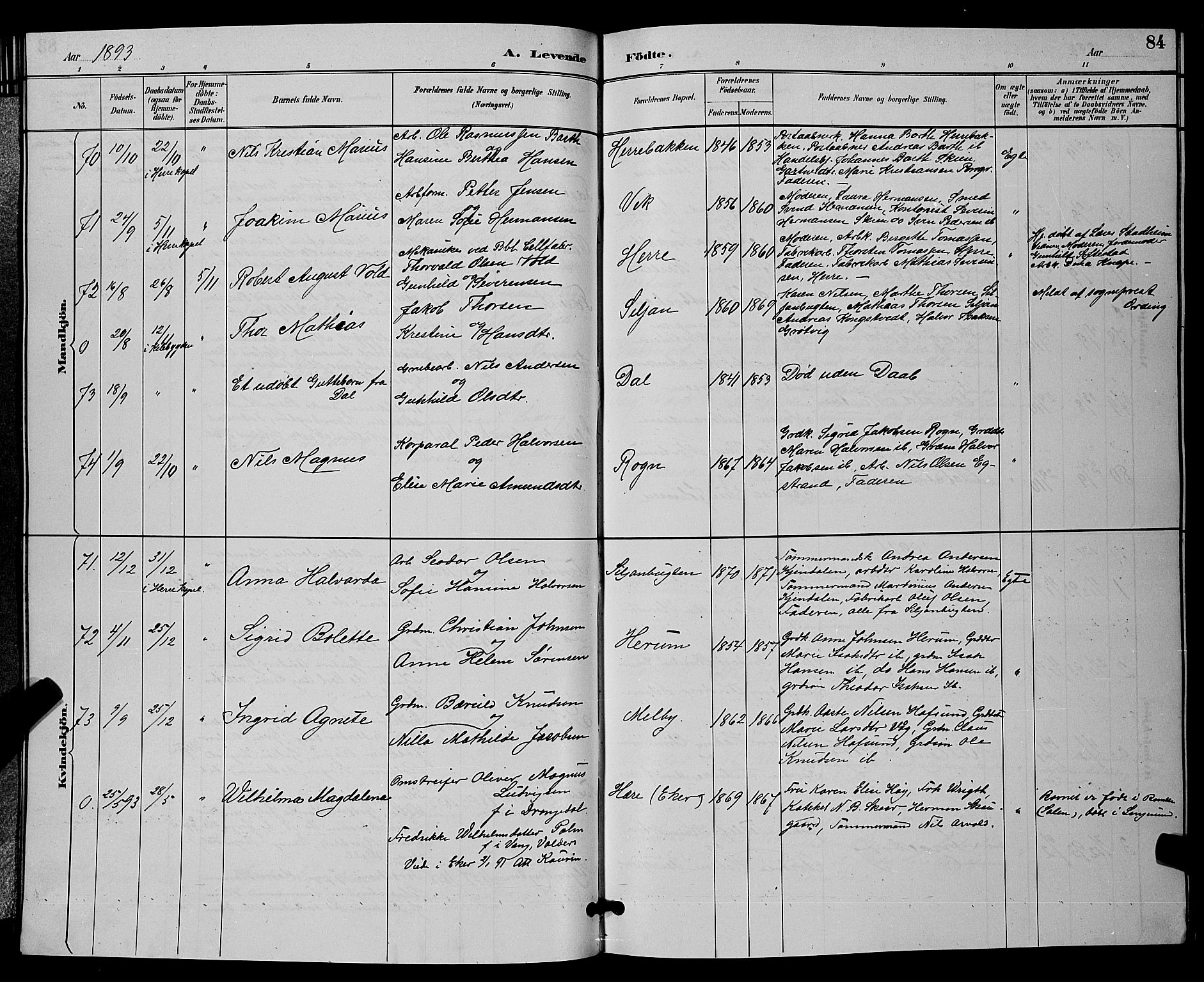 Bamble kirkebøker, SAKO/A-253/G/Ga/L0009: Parish register (copy) no. I 9, 1888-1900, p. 84