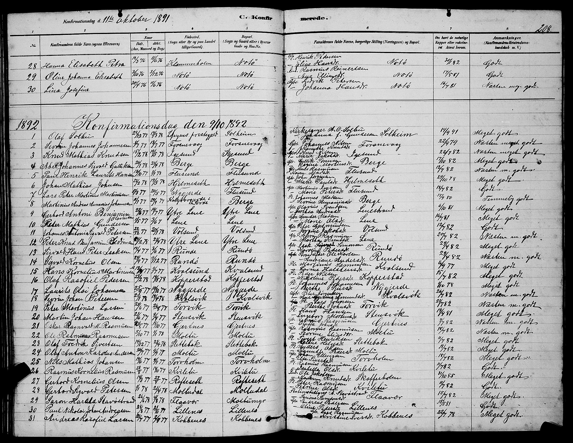 Ministerialprotokoller, klokkerbøker og fødselsregistre - Møre og Romsdal, AV/SAT-A-1454/507/L0081: Parish register (copy) no. 507C04, 1878-1898, p. 208