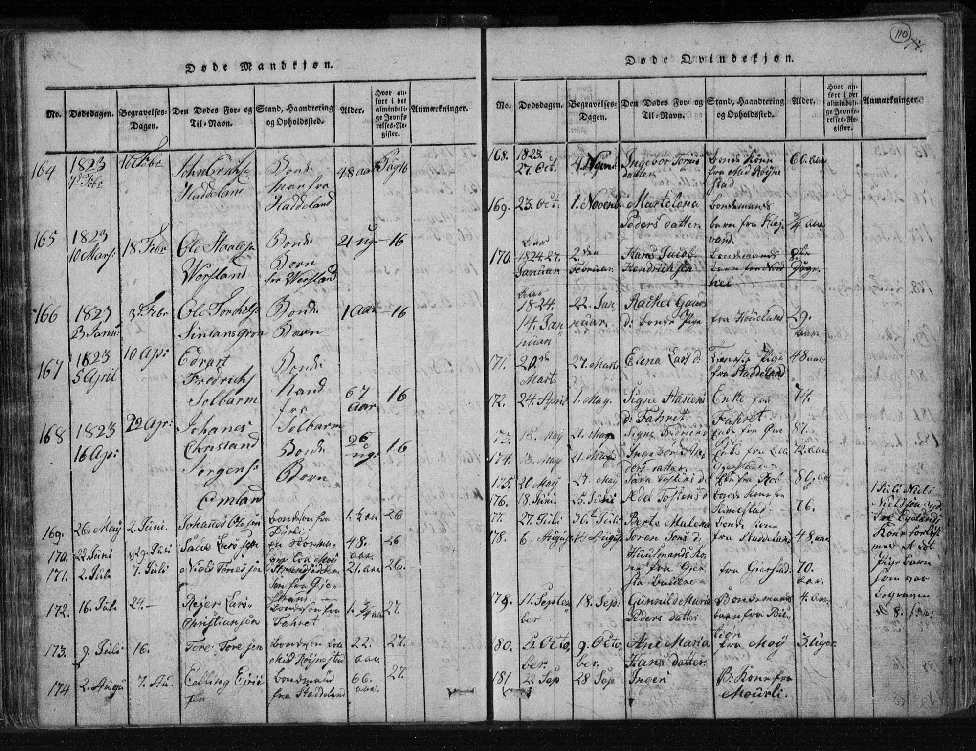 Kvinesdal sokneprestkontor, SAK/1111-0026/F/Fa/Fab/L0003: Parish register (official) no. A 3, 1815-1829, p. 110