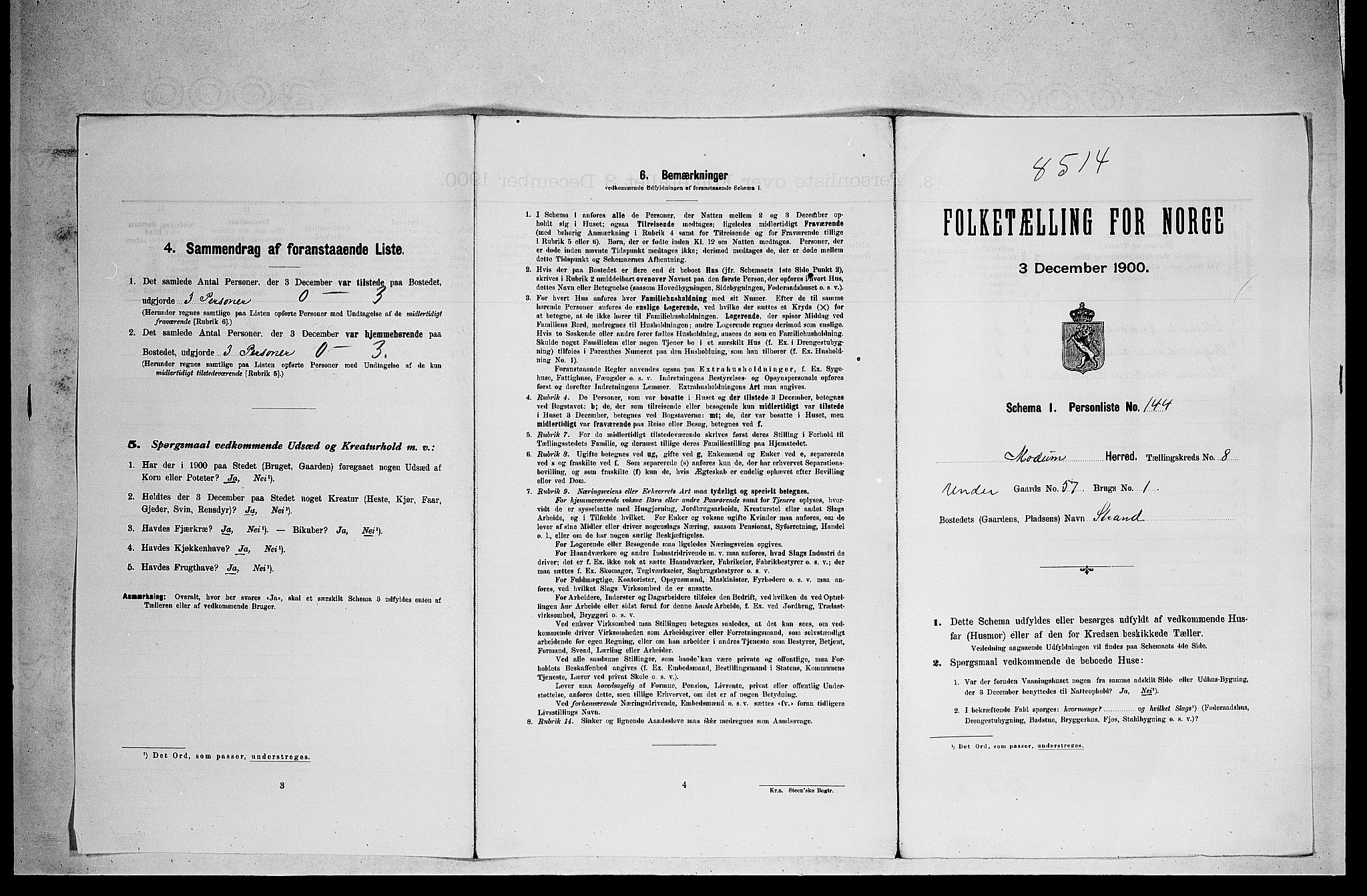 RA, 1900 census for Modum, 1900, p. 1181