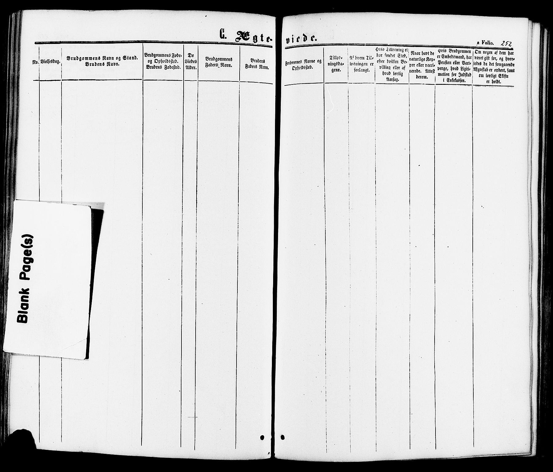 Kvikne prestekontor, AV/SAH-PREST-064/H/Ha/Haa/L0006: Parish register (official) no. 6, 1863-1886, p. 252