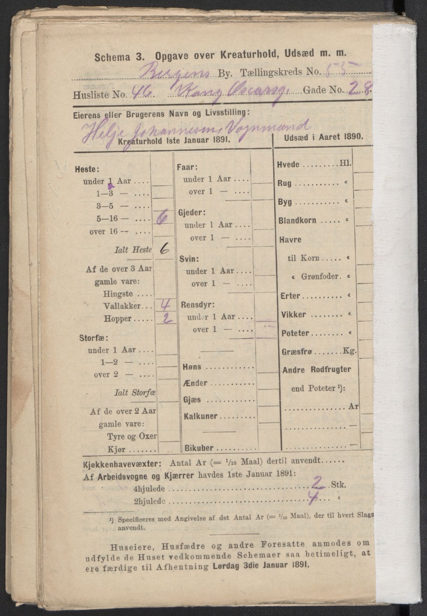 RA, 1891 Census for 1301 Bergen, 1891, p. 8950