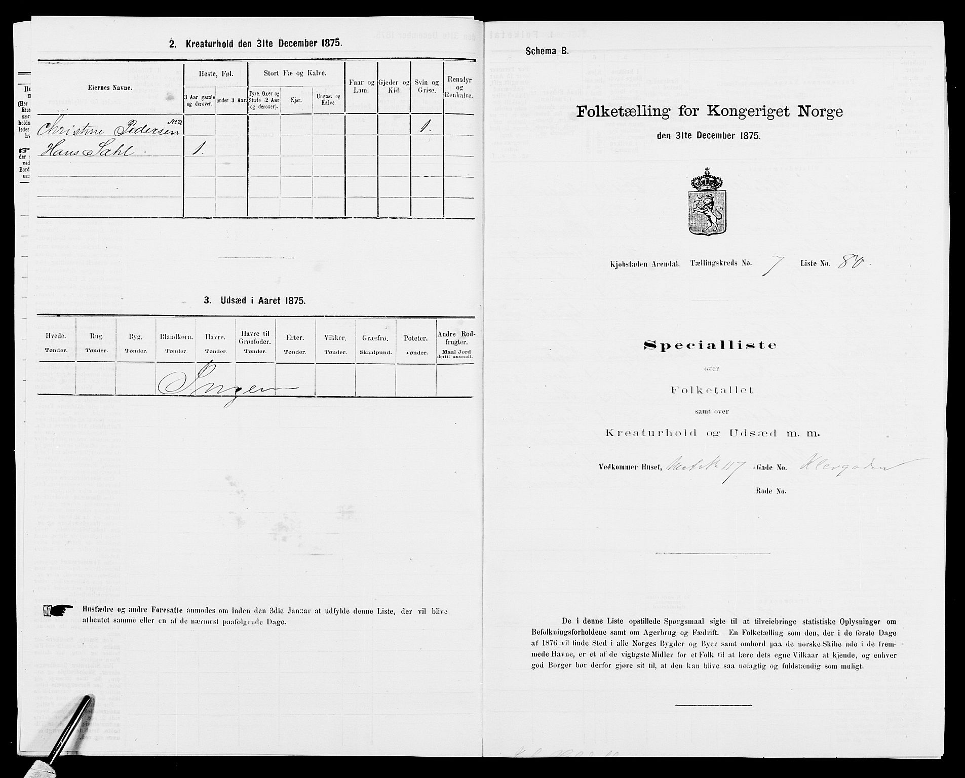 SAK, 1875 census for 0903P Arendal, 1875, p. 198