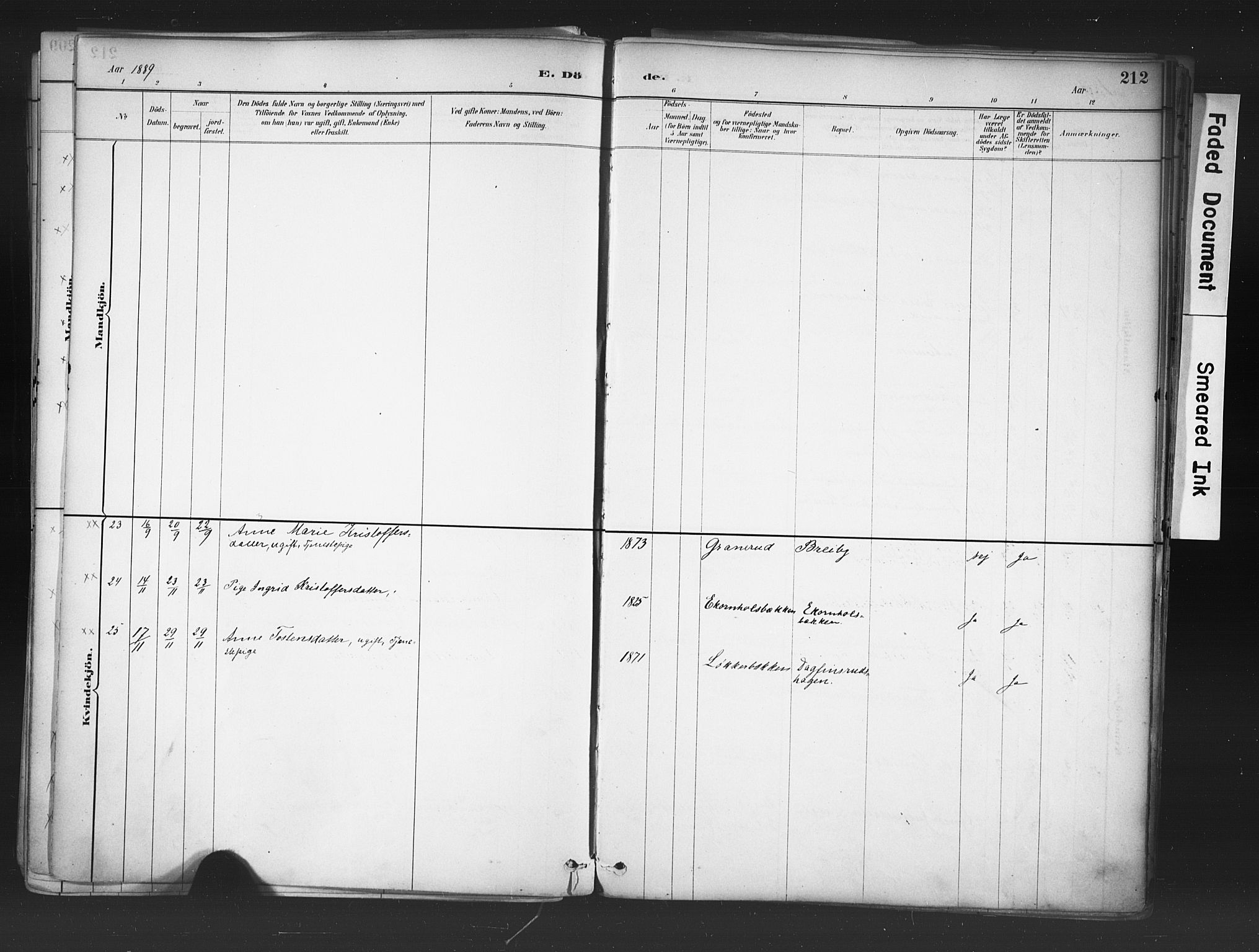 Nord-Odal prestekontor, AV/SAH-PREST-032/H/Ha/Haa/L0006: Parish register (official) no. 6, 1886-1901, p. 212