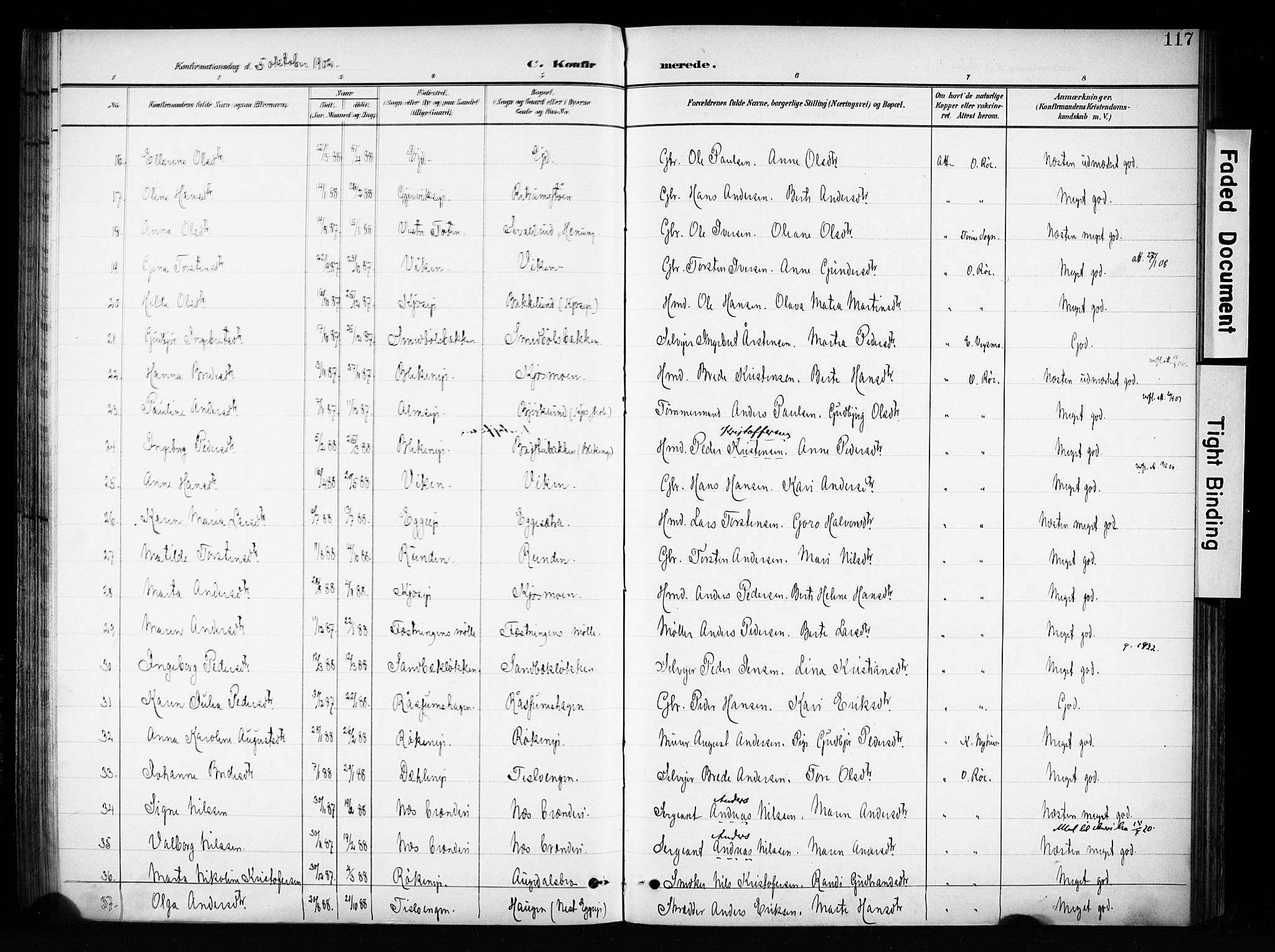 Brandbu prestekontor, SAH/PREST-114/H/Ha/Haa/L0001: Parish register (official) no. 1, 1900-1912, p. 117
