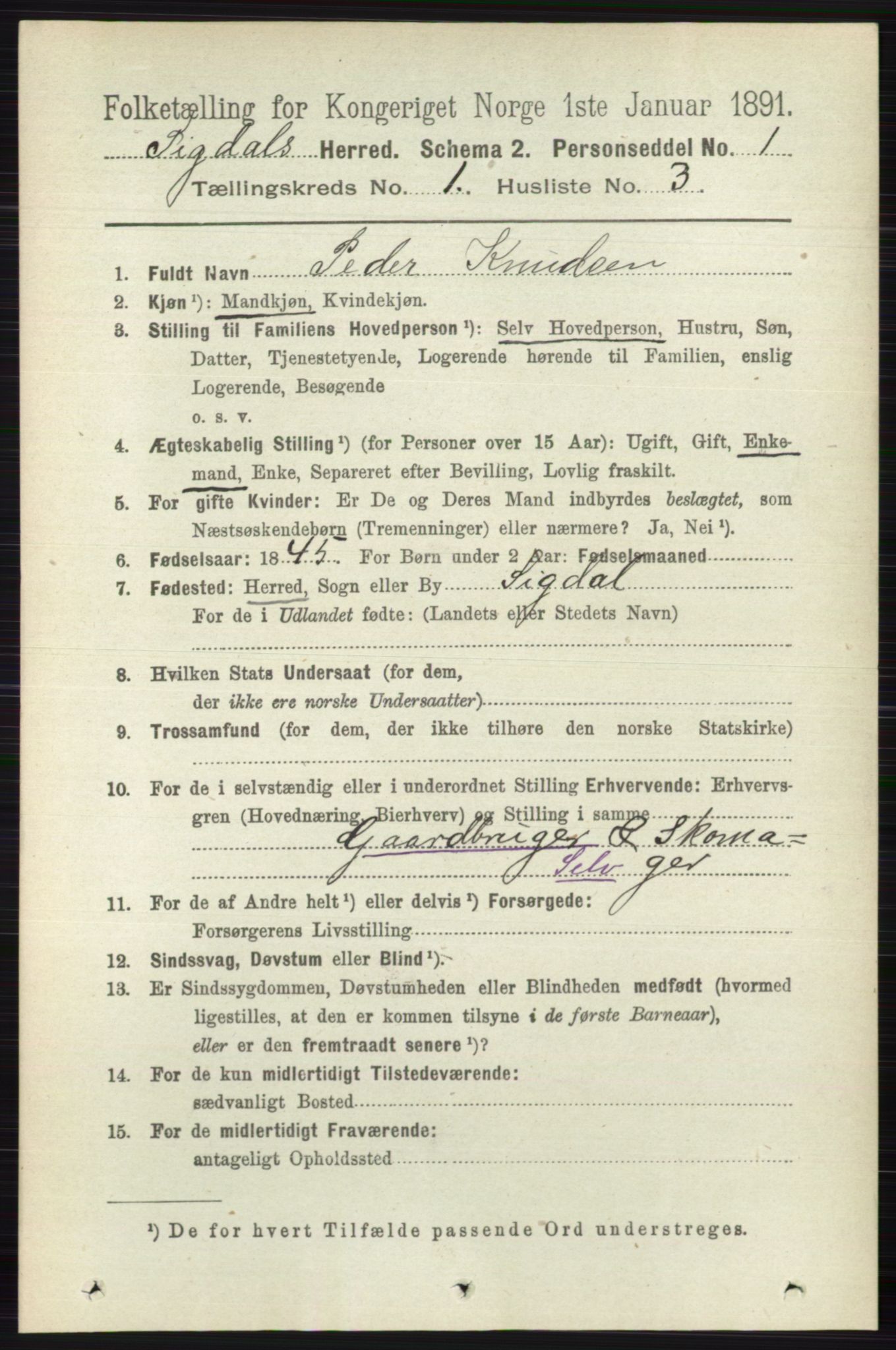 RA, 1891 census for 0621 Sigdal, 1891, p. 193