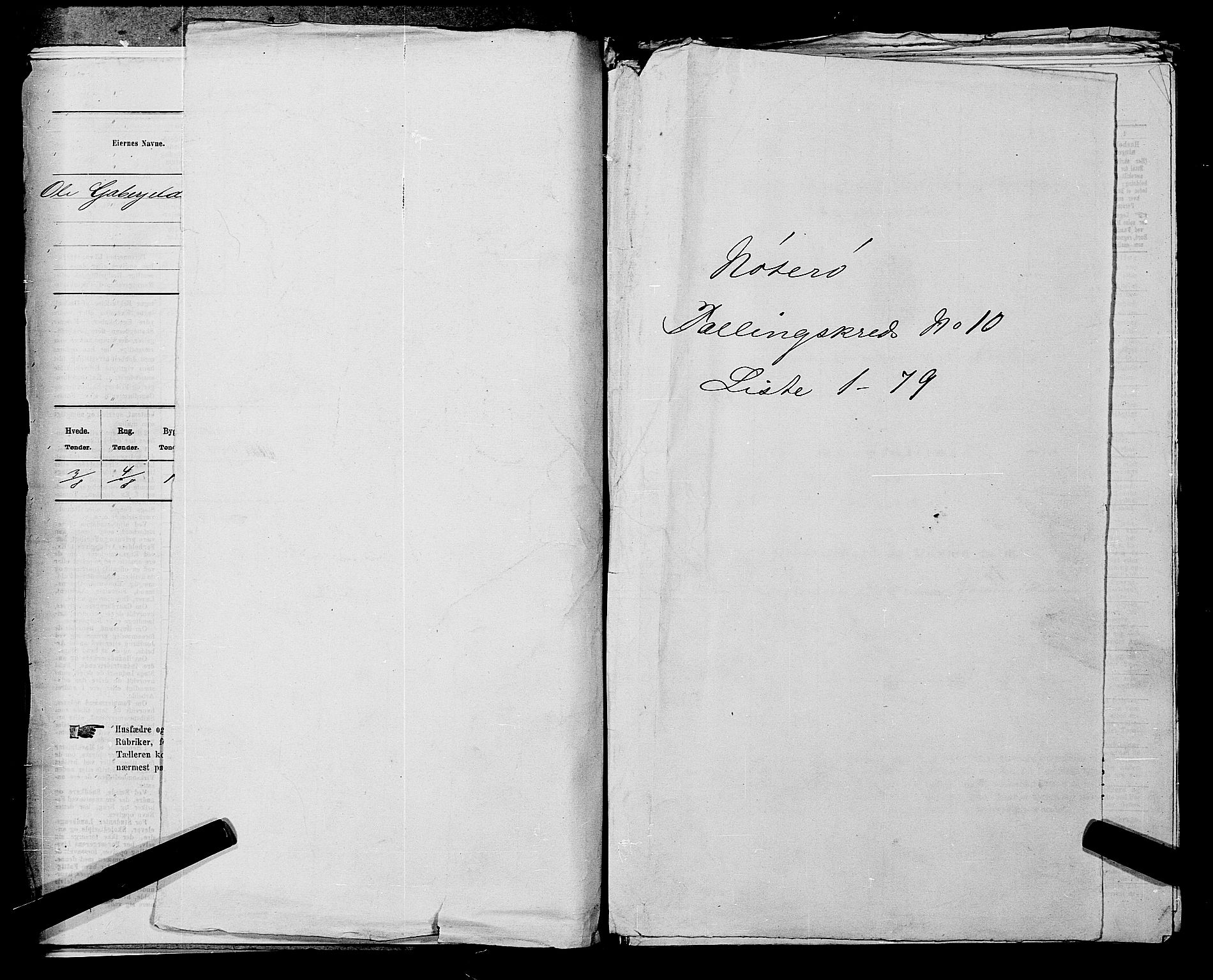 SAKO, 1875 census for 0722P Nøtterøy, 1875, p. 1967