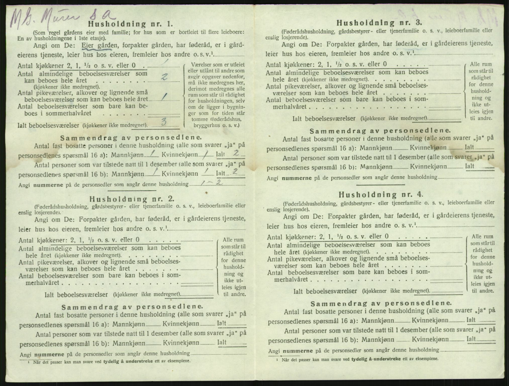 SAKO, 1920 census for Brunlanes, 1920, p. 1244