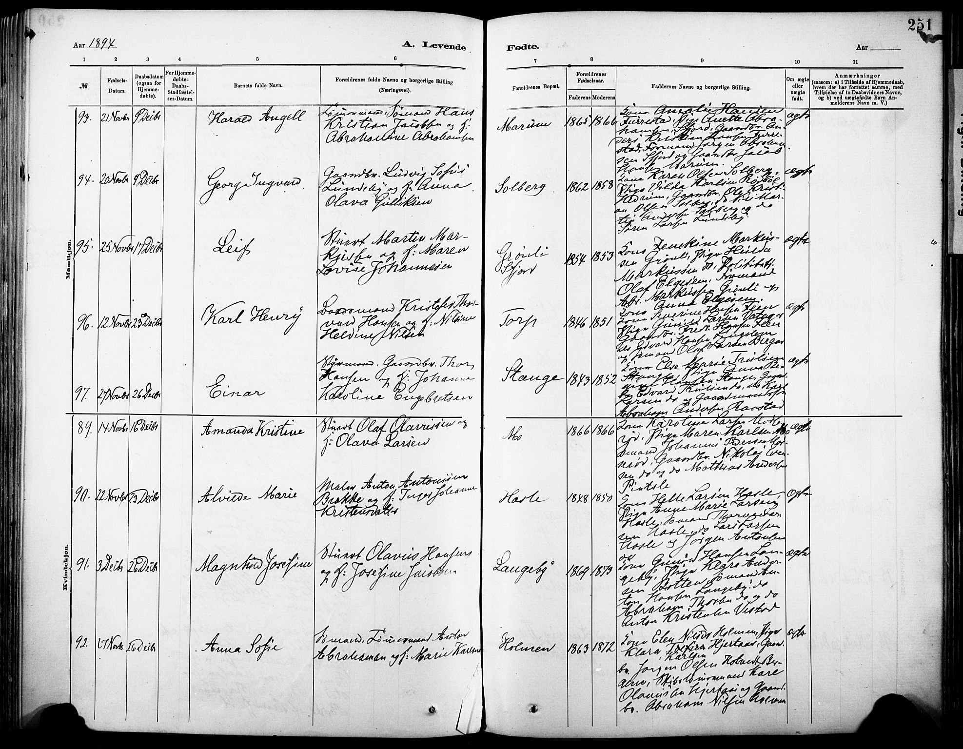 Sandar kirkebøker, AV/SAKO-A-243/F/Fa/L0012: Parish register (official) no. 12, 1883-1895, p. 251