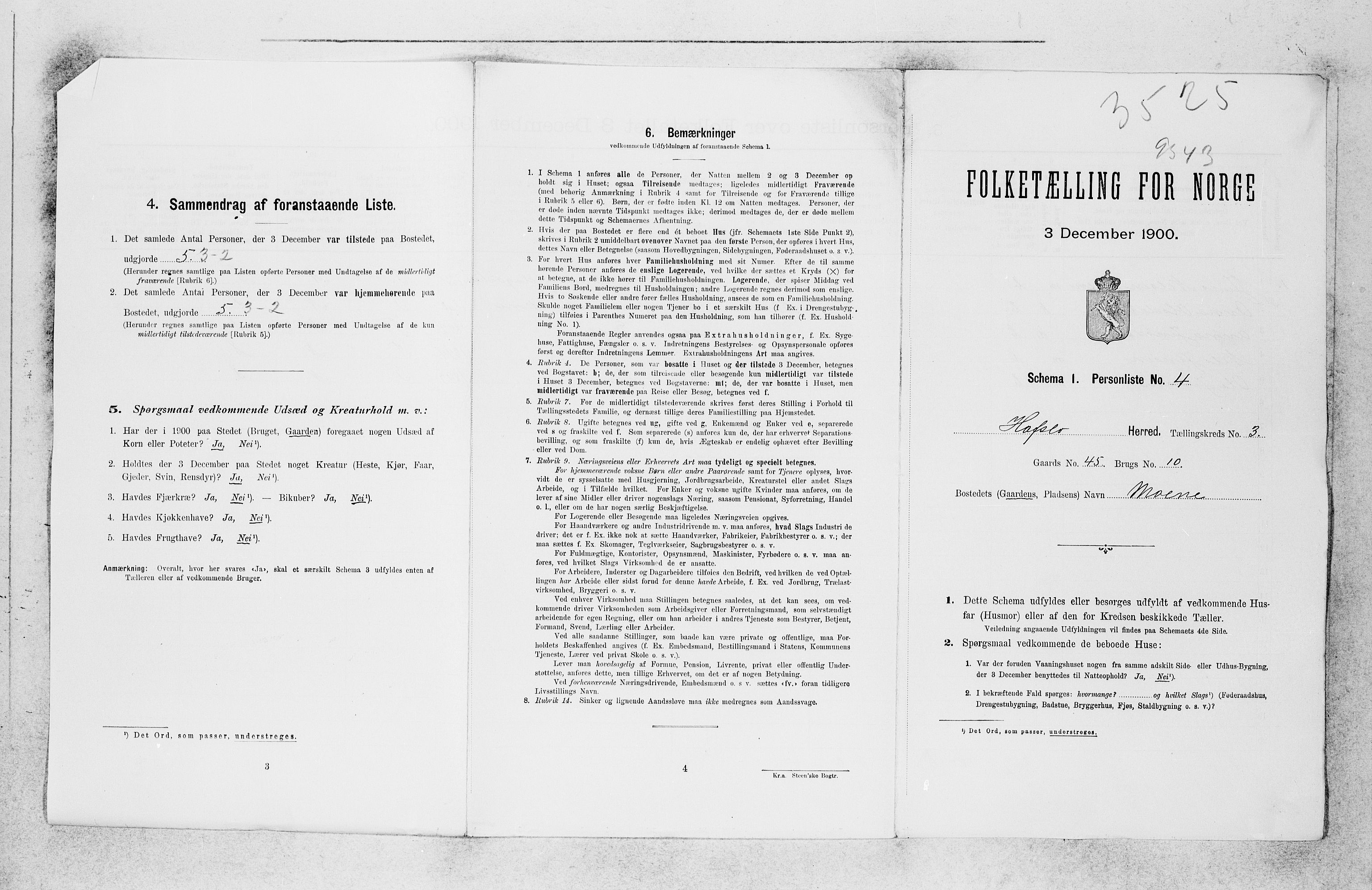 SAB, 1900 census for Hafslo, 1900, p. 30