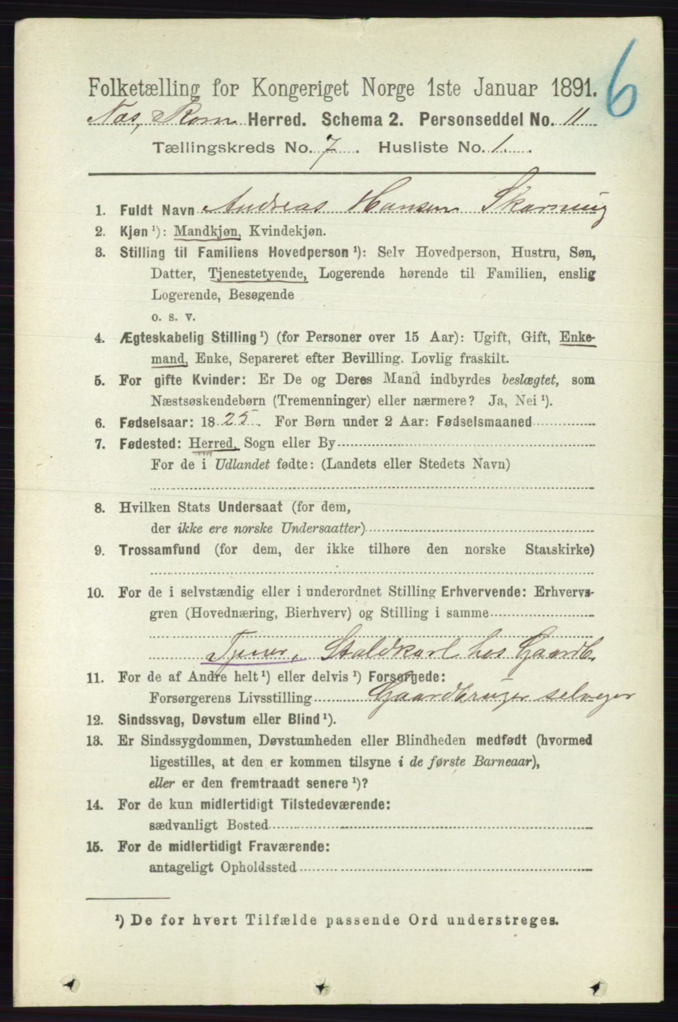 RA, 1891 census for 0236 Nes, 1891, p. 4022