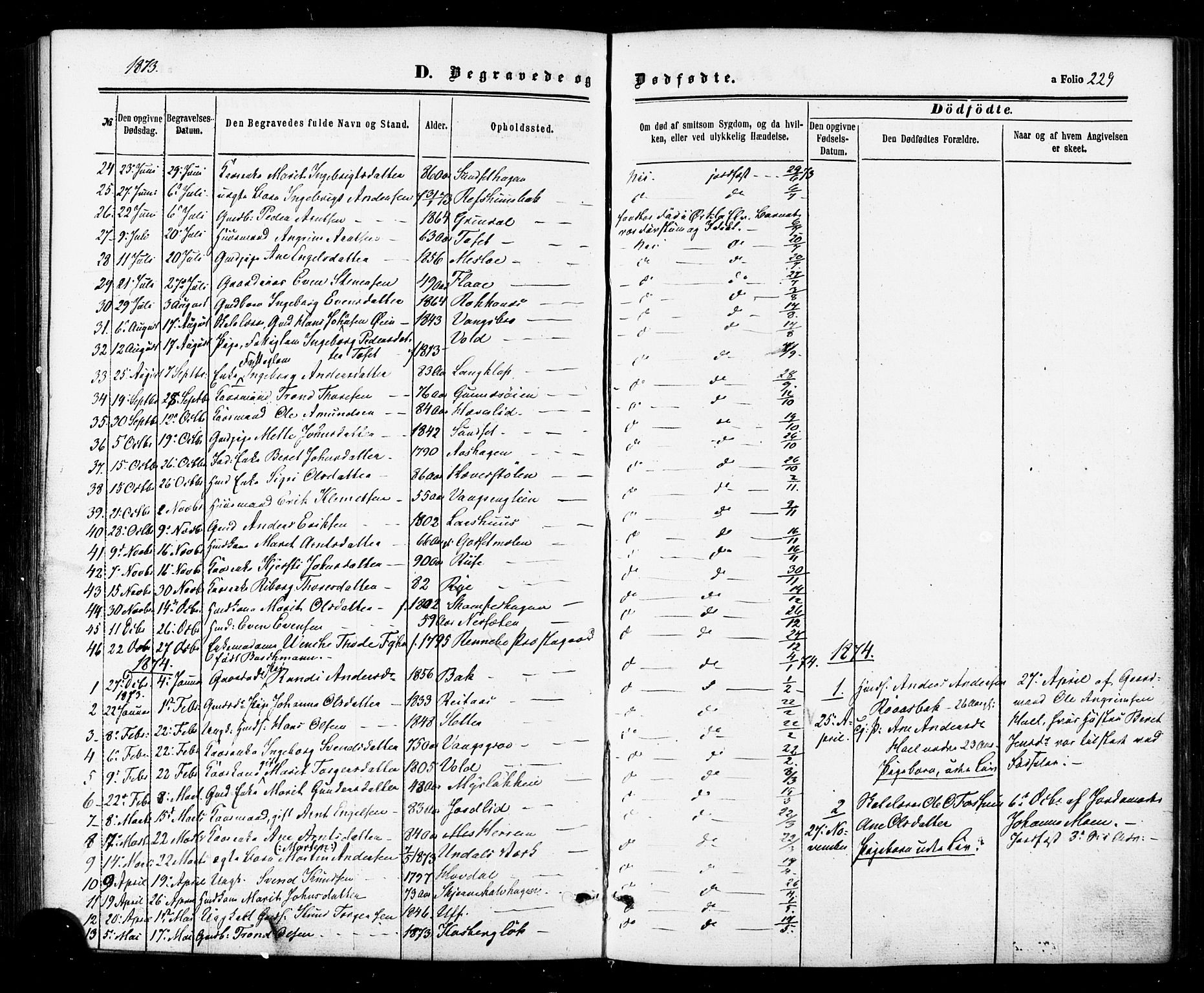 Ministerialprotokoller, klokkerbøker og fødselsregistre - Sør-Trøndelag, SAT/A-1456/674/L0870: Parish register (official) no. 674A02, 1861-1879, p. 229