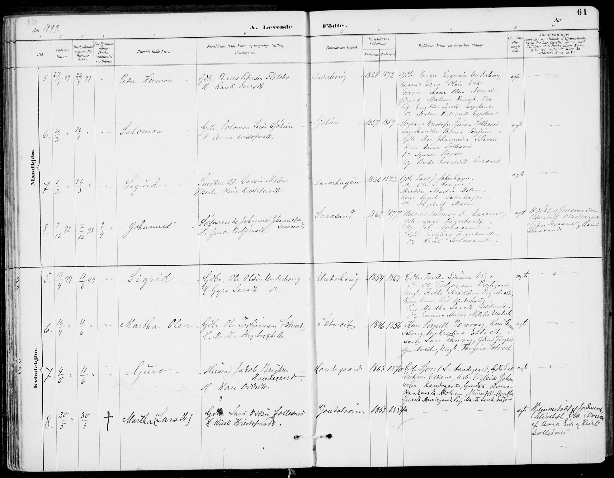 Strandebarm sokneprestembete, SAB/A-78401/H/Haa: Parish register (official) no. E  1, 1886-1908, p. 61