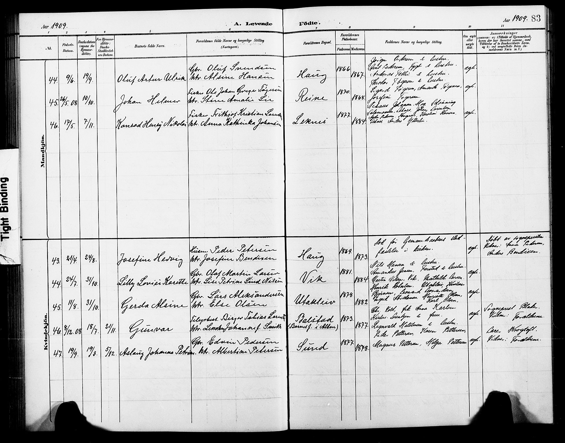 Ministerialprotokoller, klokkerbøker og fødselsregistre - Nordland, AV/SAT-A-1459/881/L1168: Parish register (copy) no. 881C05, 1900-1911, p. 83