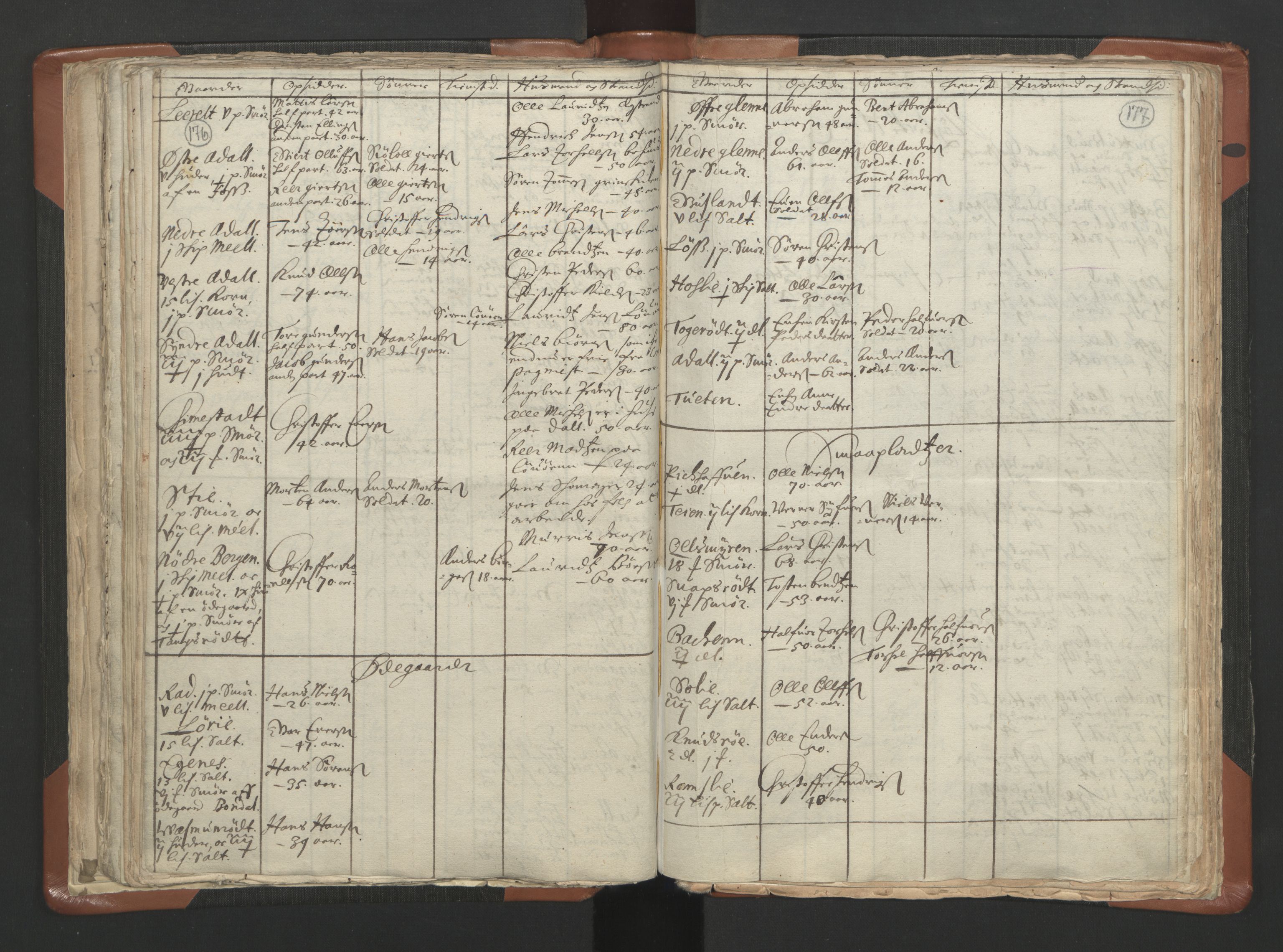 RA, Vicar's Census 1664-1666, no. 10: Tønsberg deanery, 1664-1666, p. 176-177