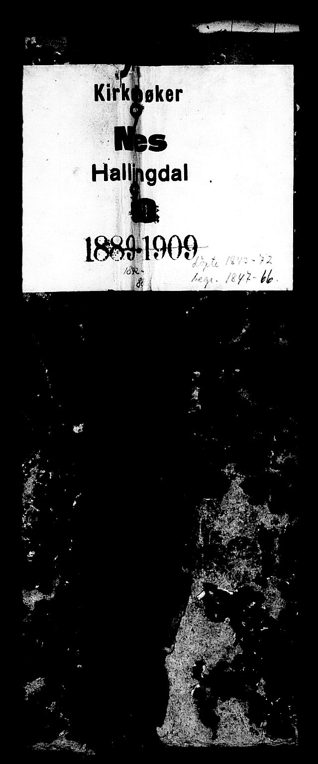 Nes kirkebøker, AV/SAKO-A-236/G/Ga/L0001: Parish register (copy) no. I 1, 1843-1872