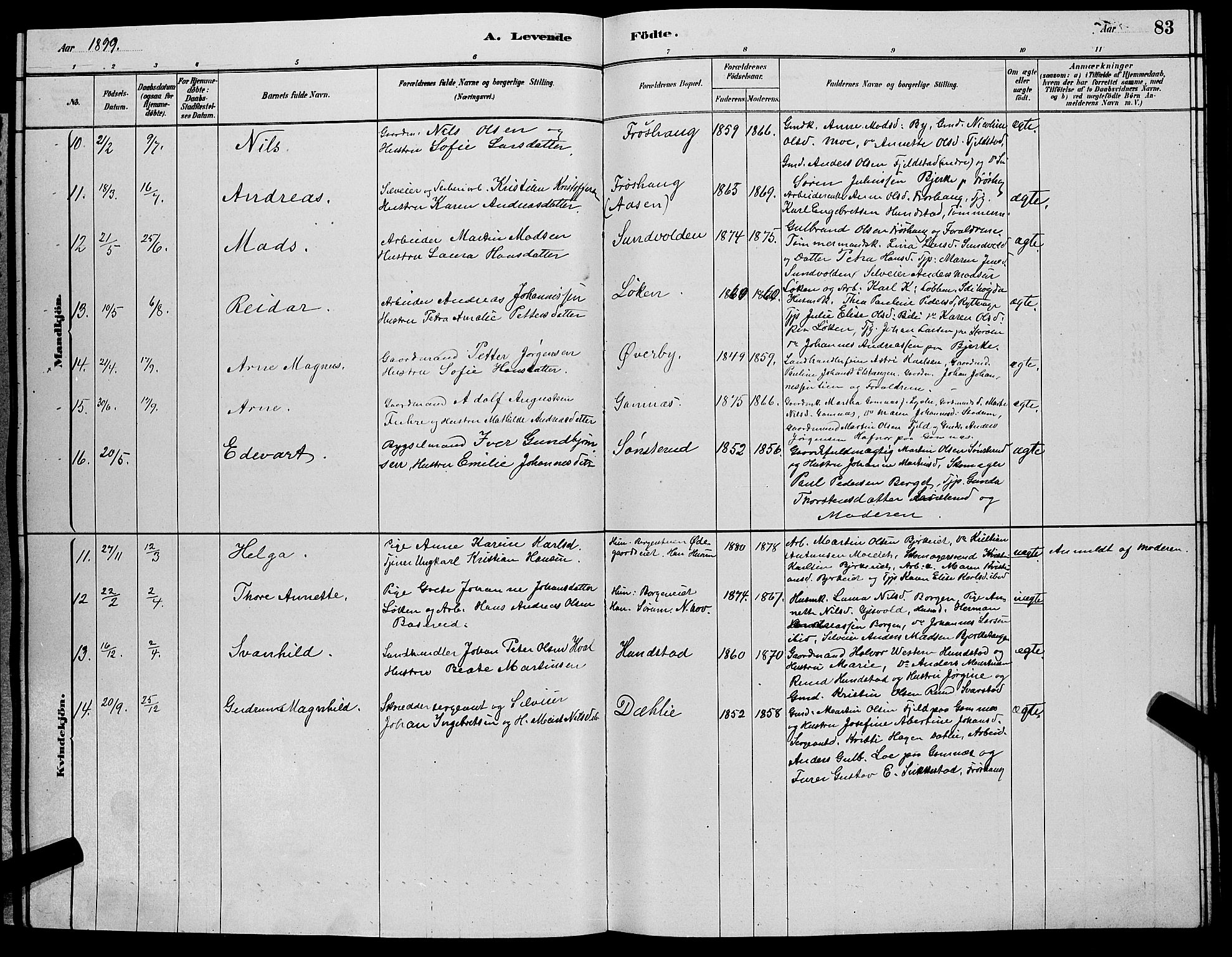 Hole kirkebøker, SAKO/A-228/G/Ga/L0003: Parish register (copy) no. I 3, 1879-1904, p. 83