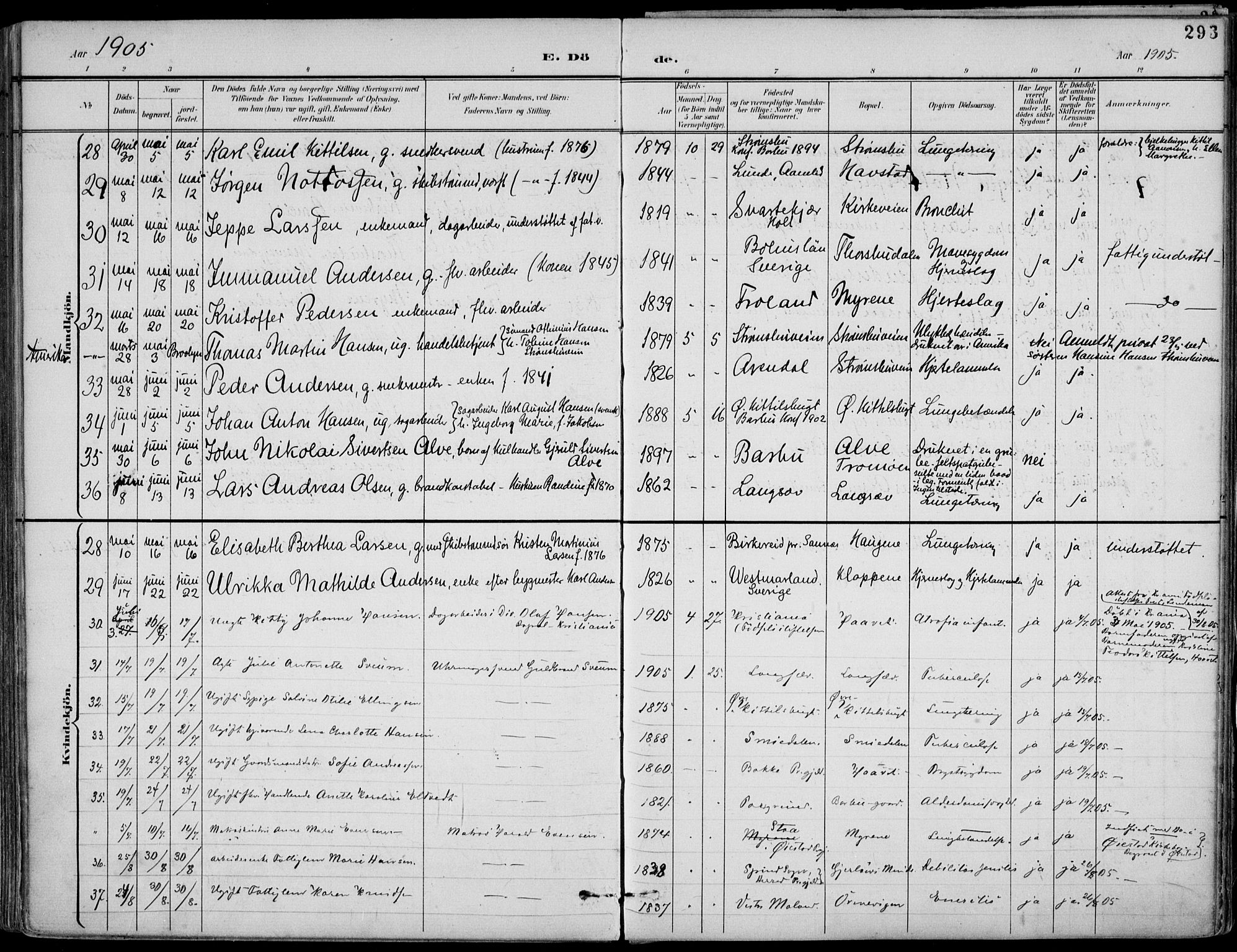 Barbu sokneprestkontor, AV/SAK-1111-0003/F/Fa/L0005: Parish register (official) no. A 5, 1899-1909, p. 293