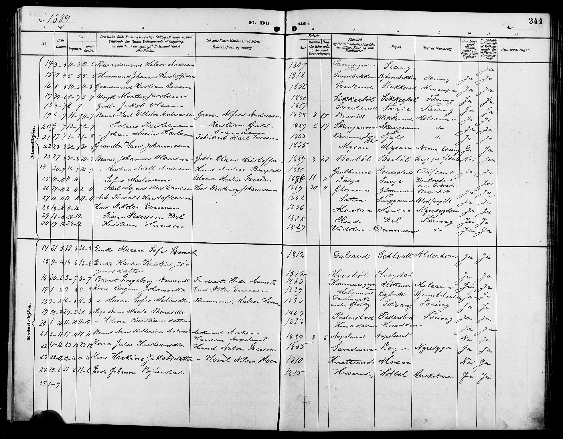Enebakk prestekontor Kirkebøker, SAO/A-10171c/G/Ga/L0006: Parish register (copy) no. I 6, 1889-1911, p. 244