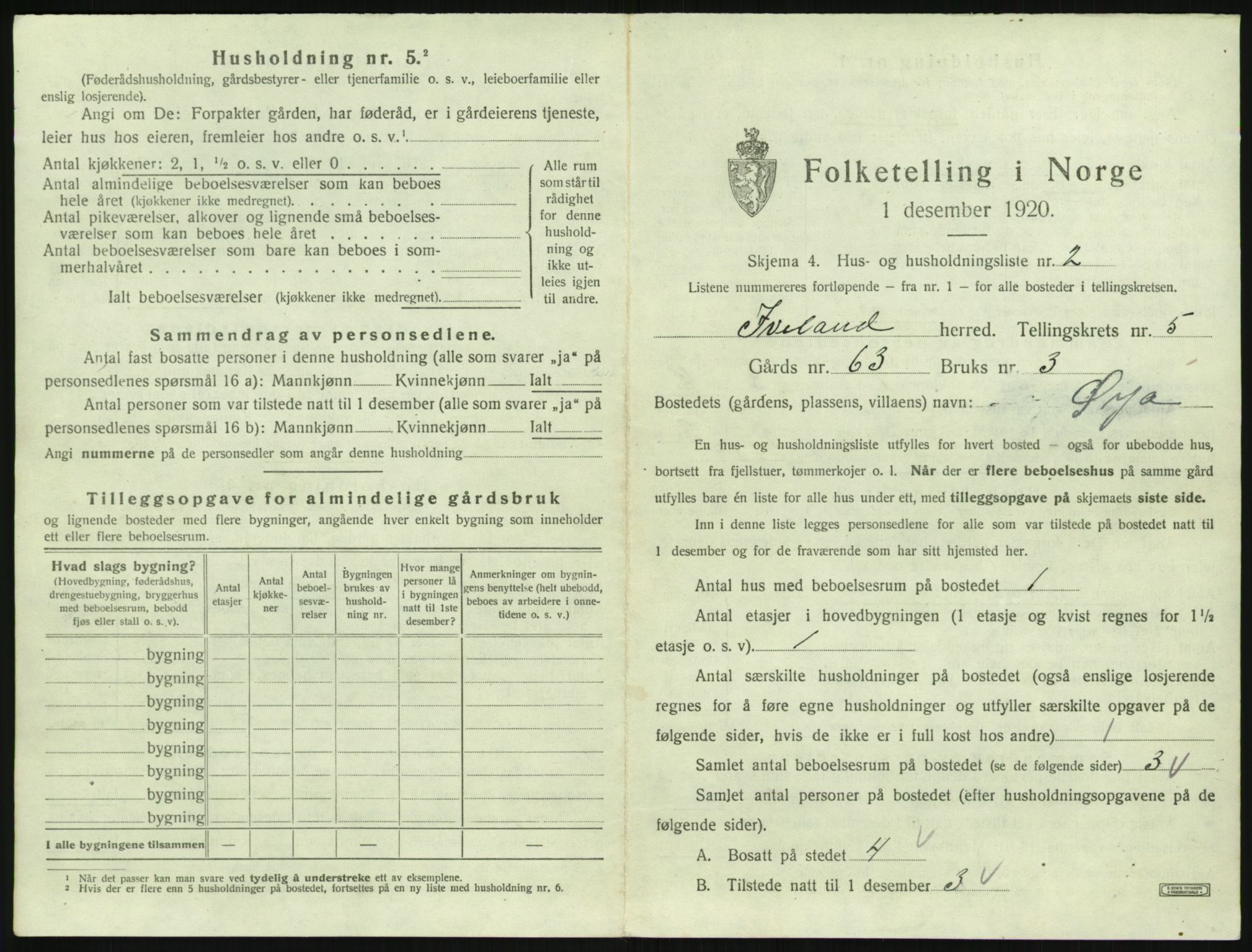 SAK, 1920 census for Iveland, 1920, p. 243