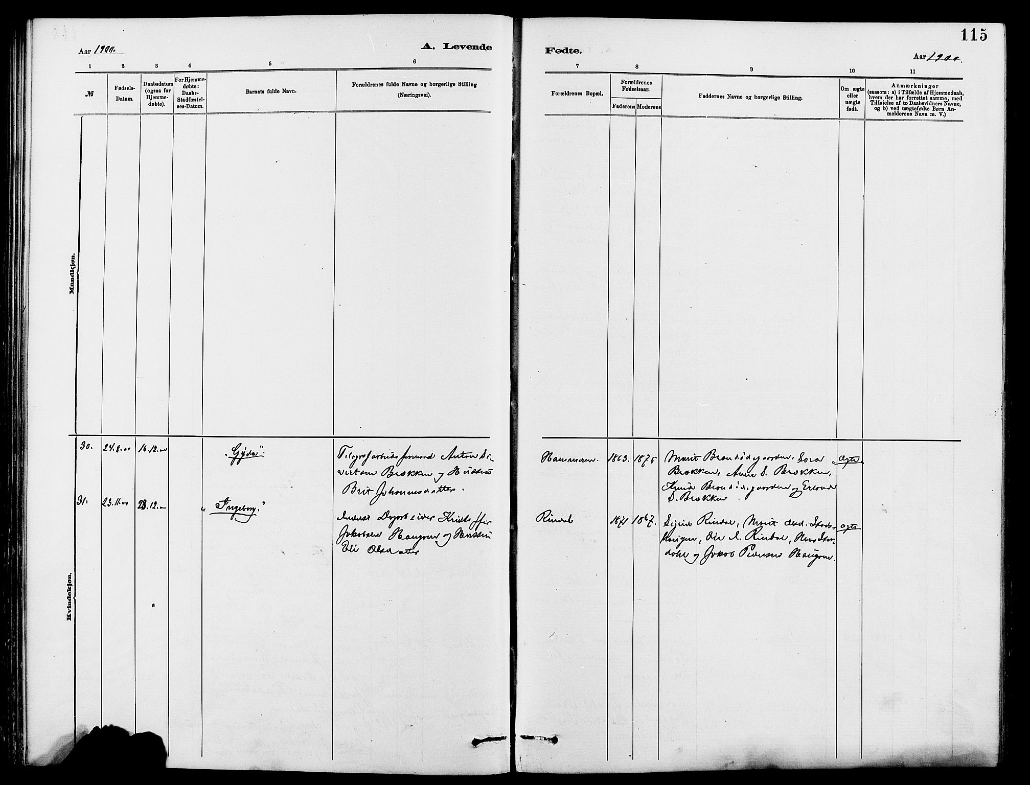 Dovre prestekontor, SAH/PREST-066/H/Ha/Hab/L0002: Parish register (copy) no. 2, 1881-1907, p. 115