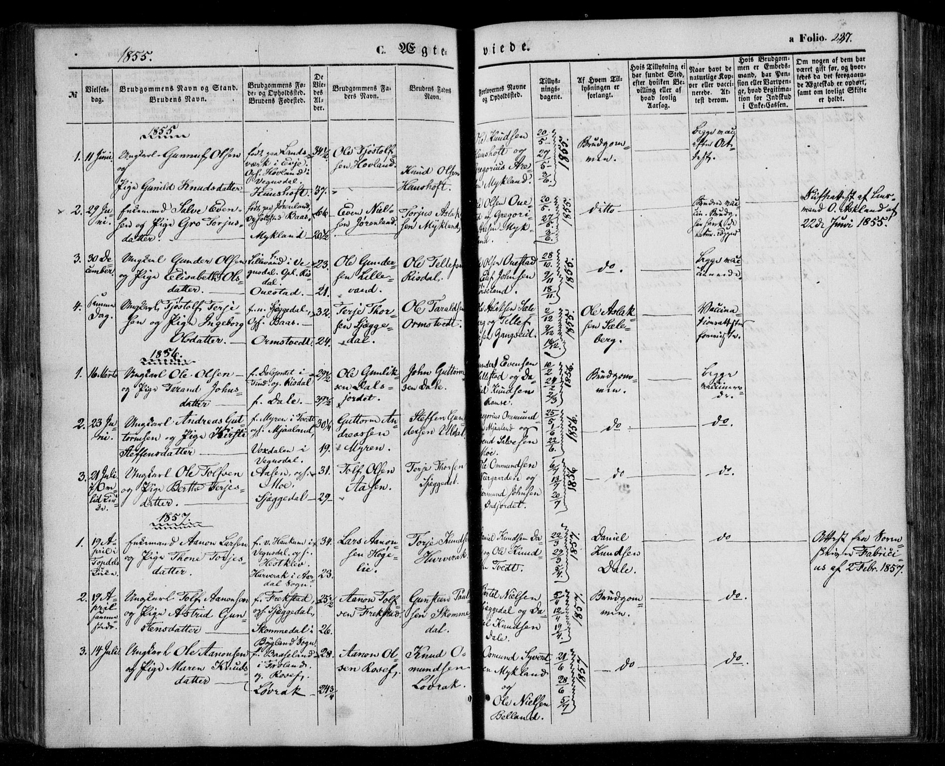 Åmli sokneprestkontor, SAK/1111-0050/F/Fa/Fac/L0008: Parish register (official) no. A 8, 1852-1869, p. 237