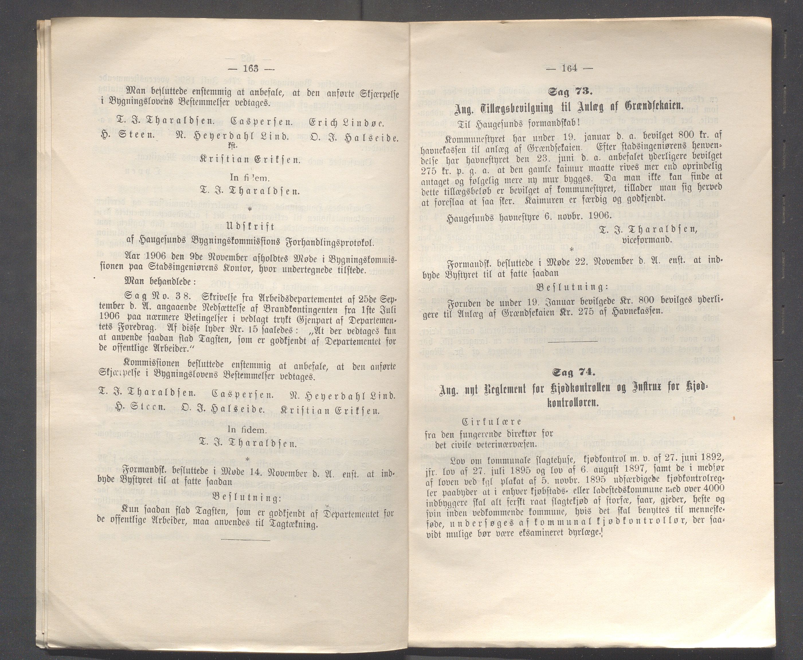 Haugesund kommune - Formannskapet og Bystyret, IKAR/A-740/A/Abb/L0001: Bystyreforhandlinger, 1889-1907, p. 870