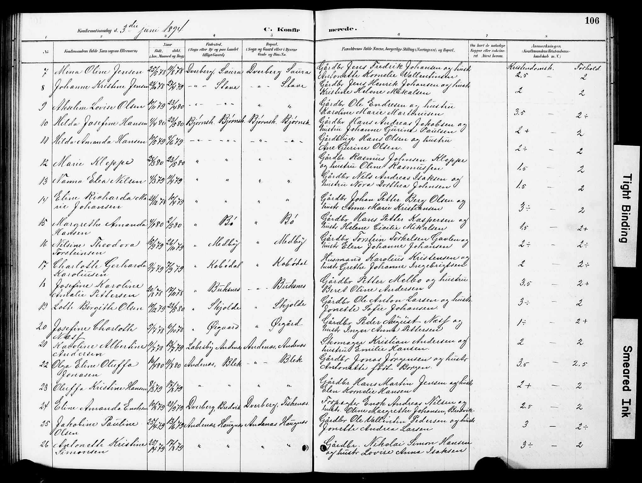 Ministerialprotokoller, klokkerbøker og fødselsregistre - Nordland, AV/SAT-A-1459/897/L1413: Parish register (copy) no. 897C03, 1887-1903, p. 106