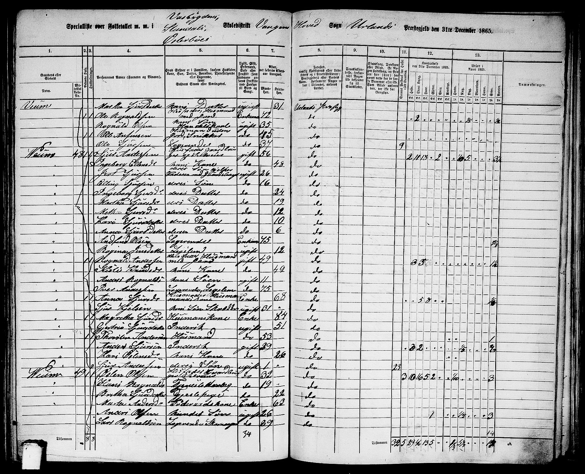 RA, 1865 census for Aurland, 1865, p. 50