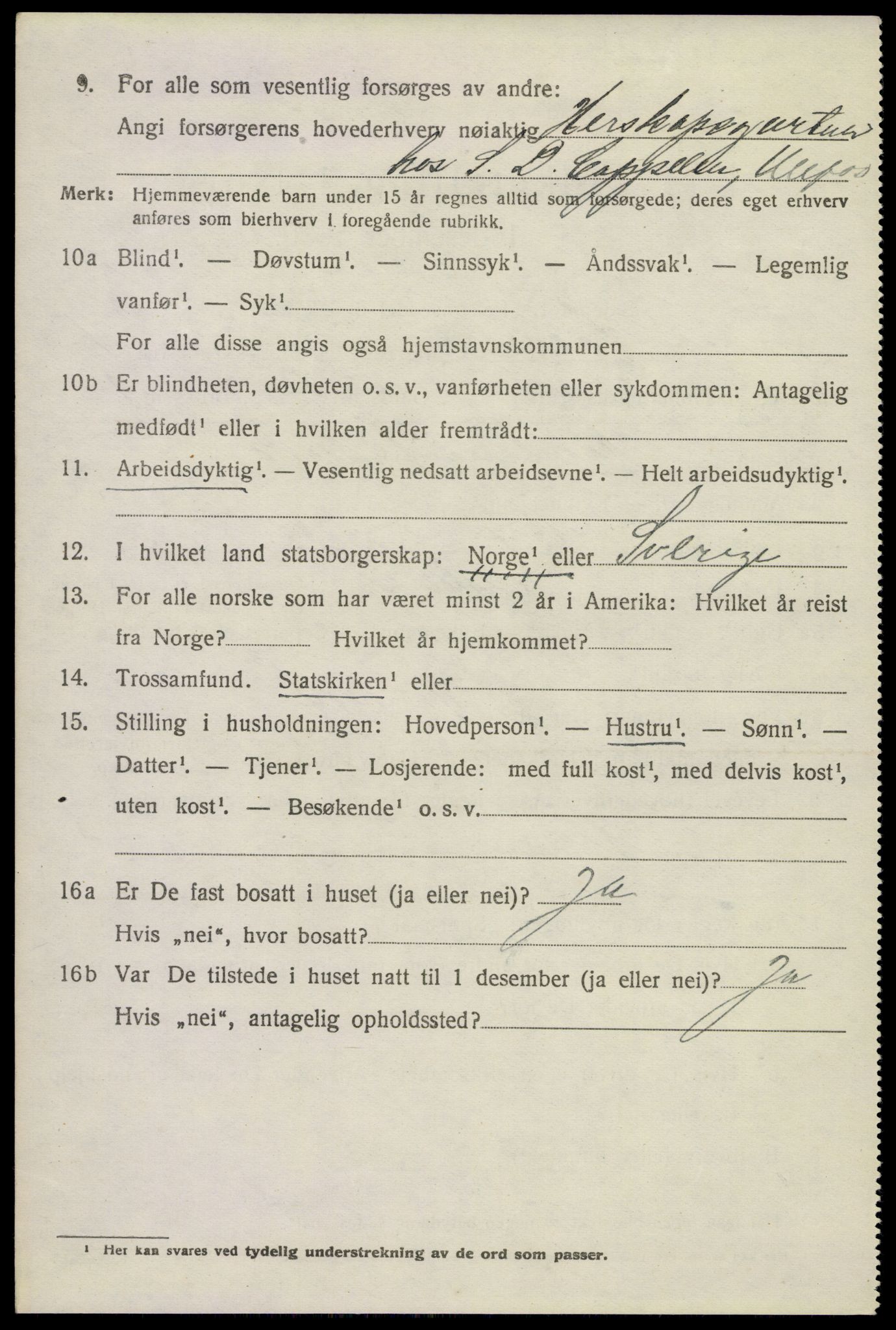 SAKO, 1920 census for Holla, 1920, p. 4062