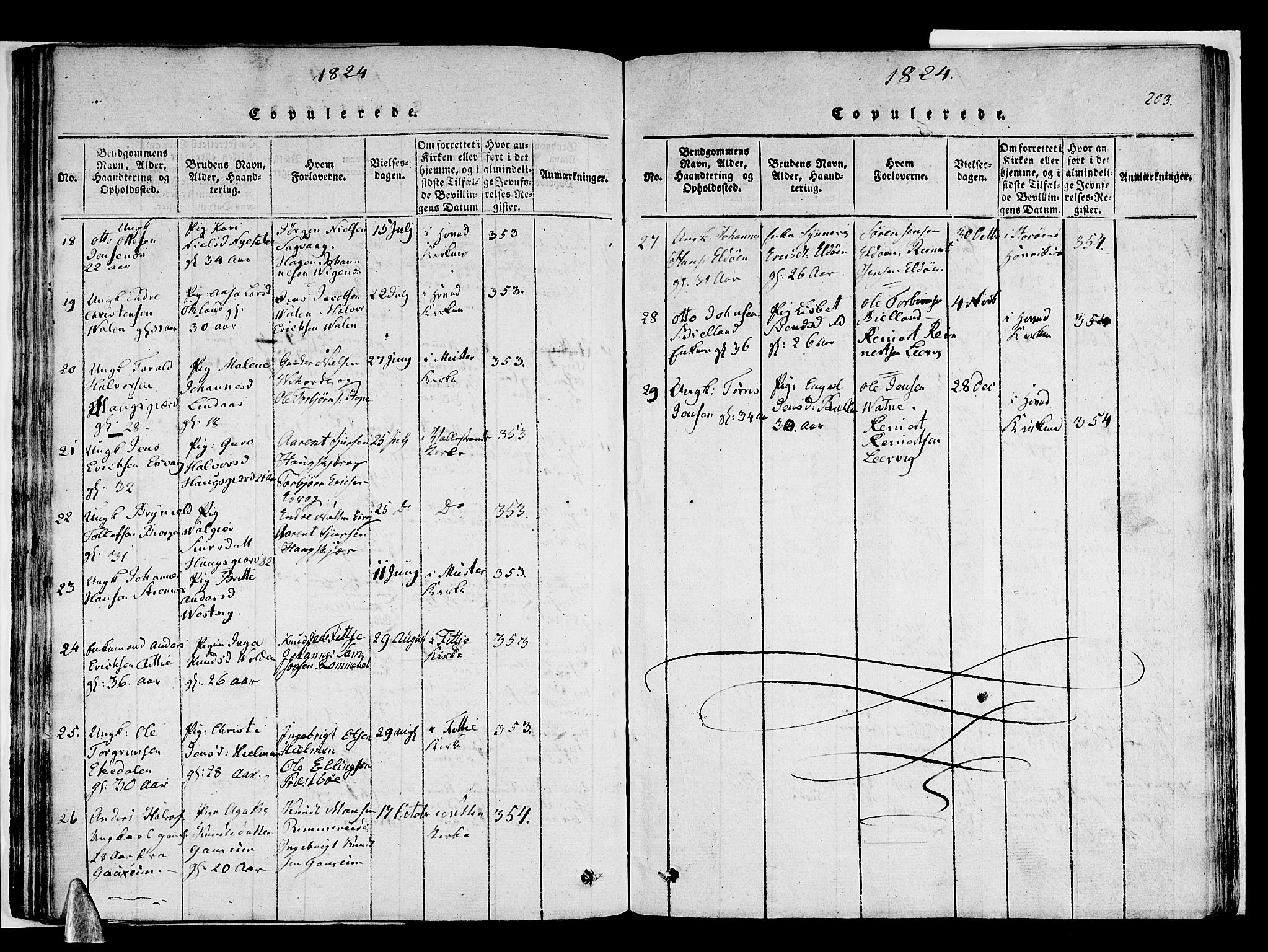 Stord sokneprestembete, SAB/A-78201/H/Haa: Parish register (official) no. A 5, 1816-1825, p. 203