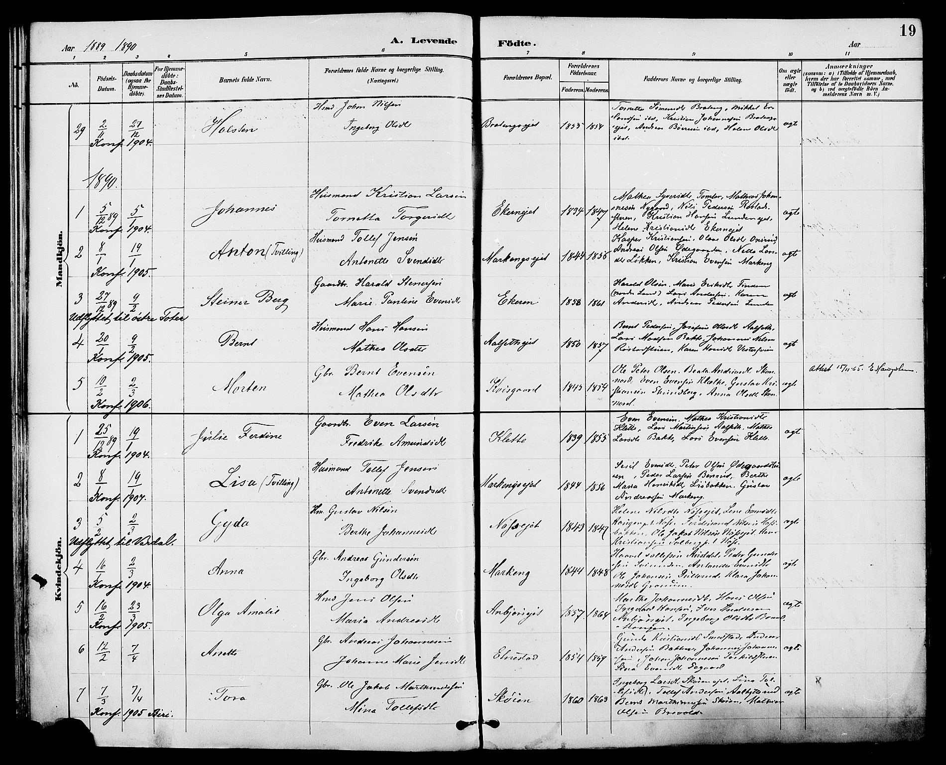 Biri prestekontor, SAH/PREST-096/H/Ha/Haa/L0007: Parish register (official) no. 7, 1887-1893, p. 19