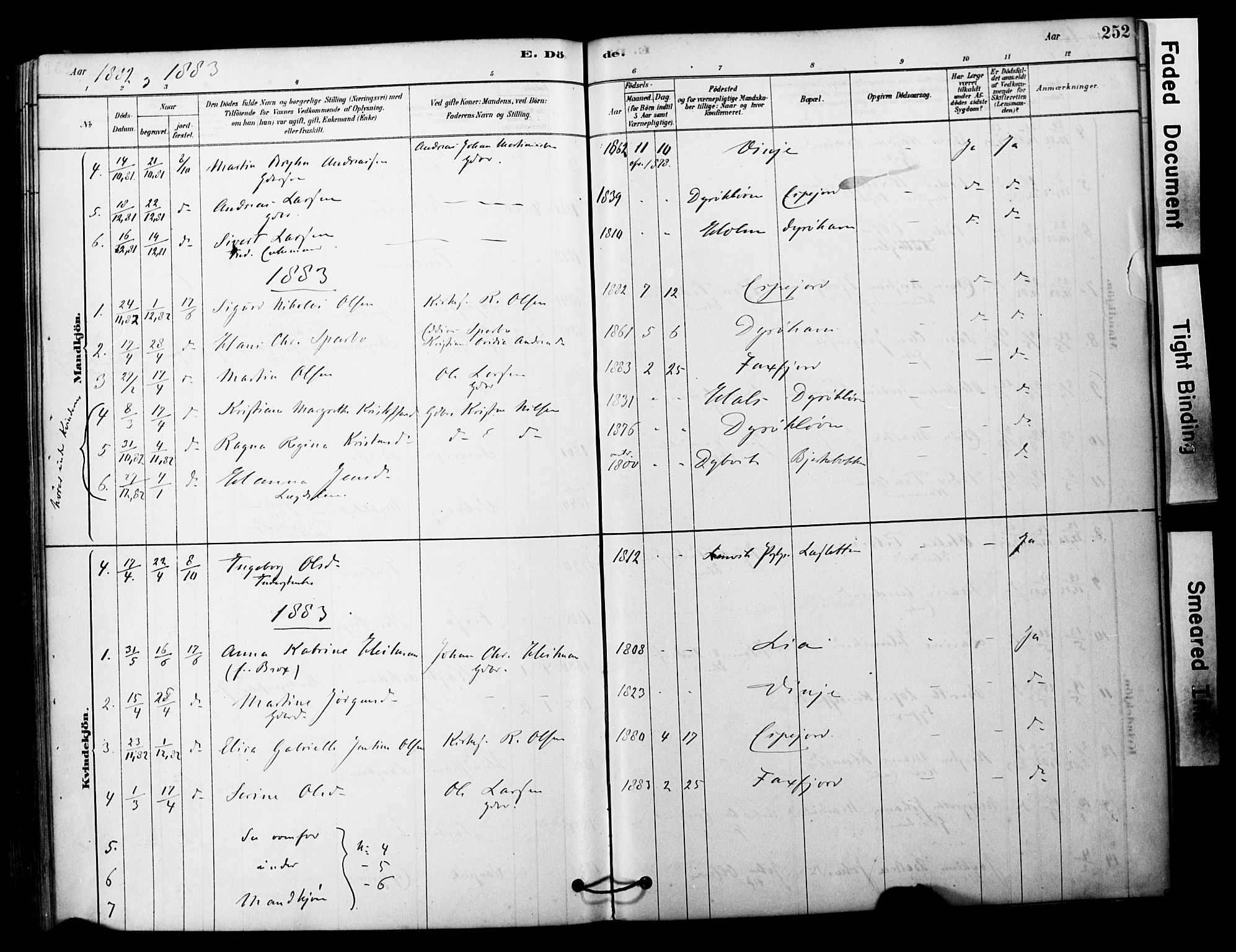 Tranøy sokneprestkontor, SATØ/S-1313/I/Ia/Iaa/L0011kirke: Parish register (official) no. 11, 1878-1904, p. 252