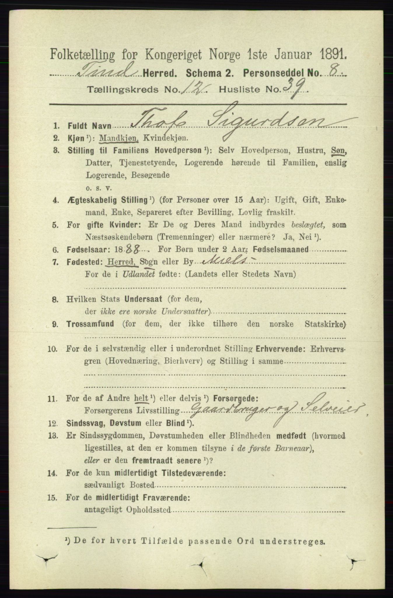 RA, 1891 census for 0826 Tinn, 1891, p. 2552