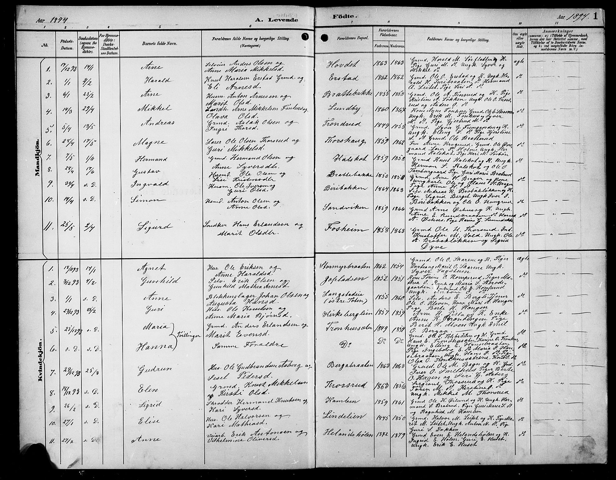 Sør-Aurdal prestekontor, AV/SAH-PREST-128/H/Ha/Hab/L0009: Parish register (copy) no. 9, 1894-1924, p. 1