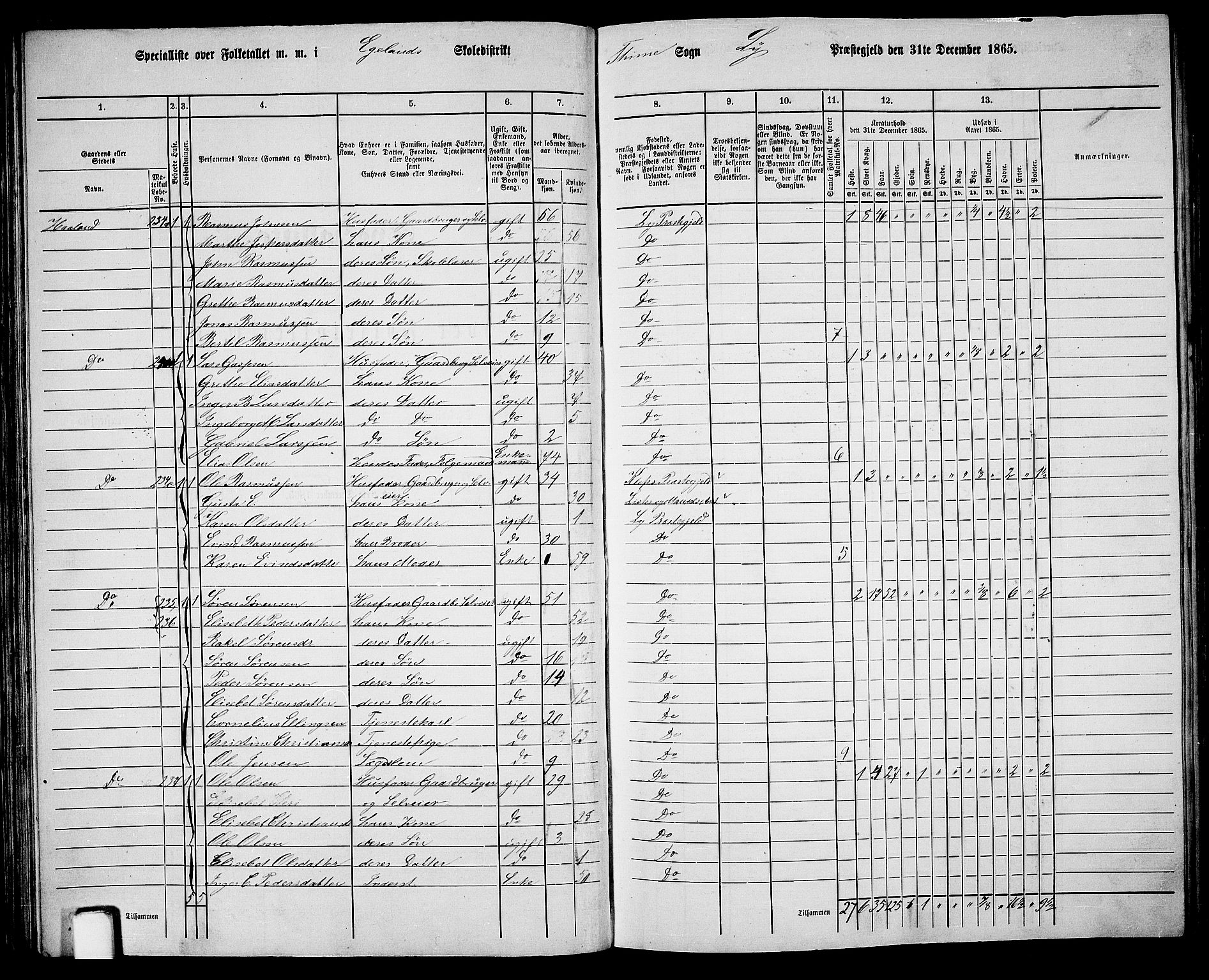 RA, 1865 census for Lye, 1865, p. 51