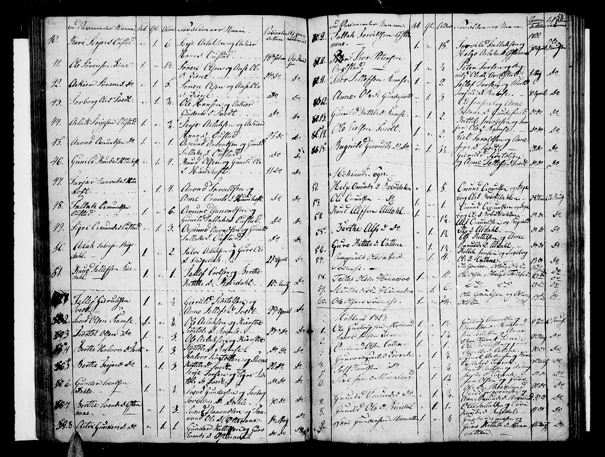 Åmli sokneprestkontor, SAK/1111-0050/F/Fa/Fac/L0005: Parish register (official) no. A 5, 1796-1816, p. 58