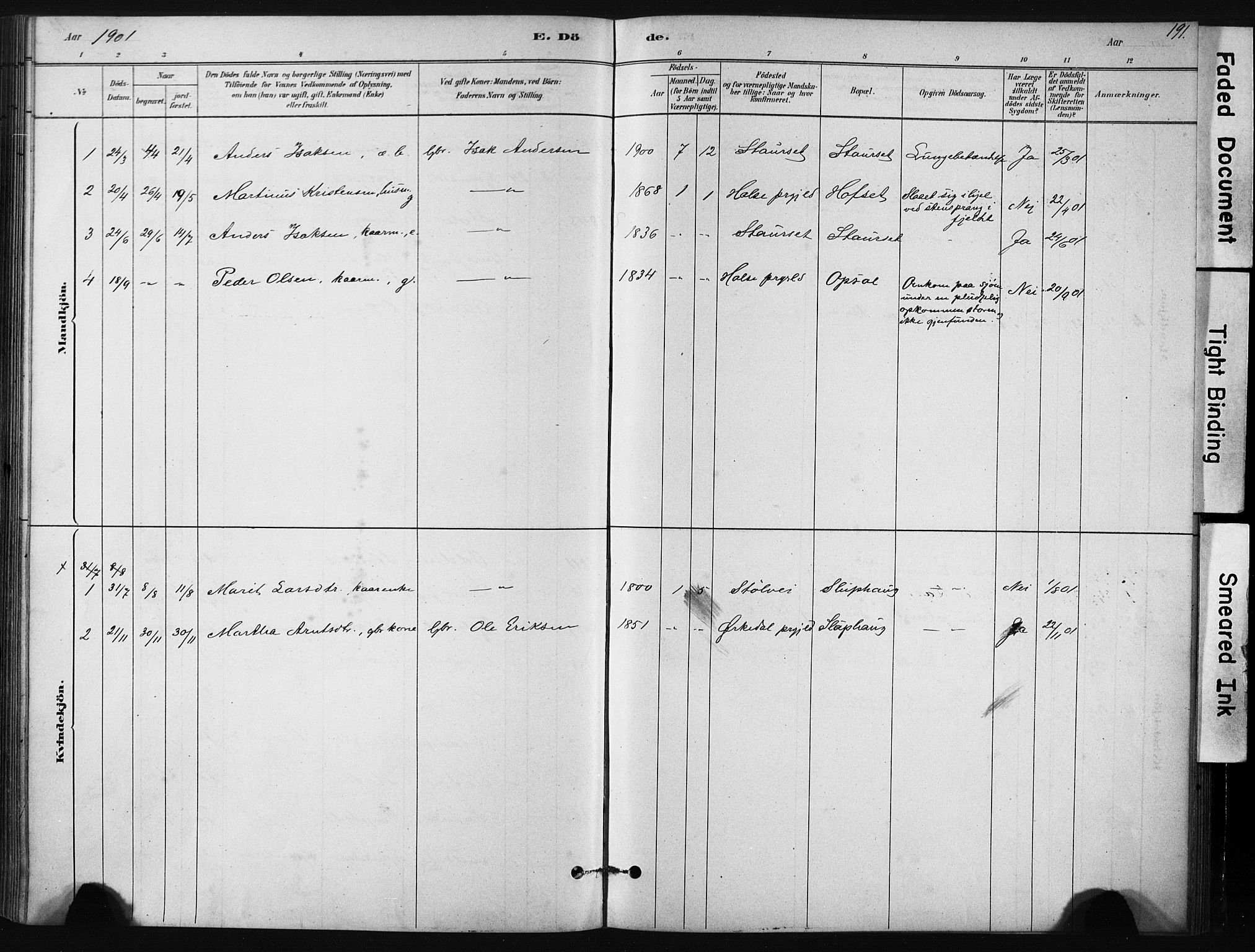 Ministerialprotokoller, klokkerbøker og fødselsregistre - Sør-Trøndelag, SAT/A-1456/631/L0512: Parish register (official) no. 631A01, 1879-1912, p. 191