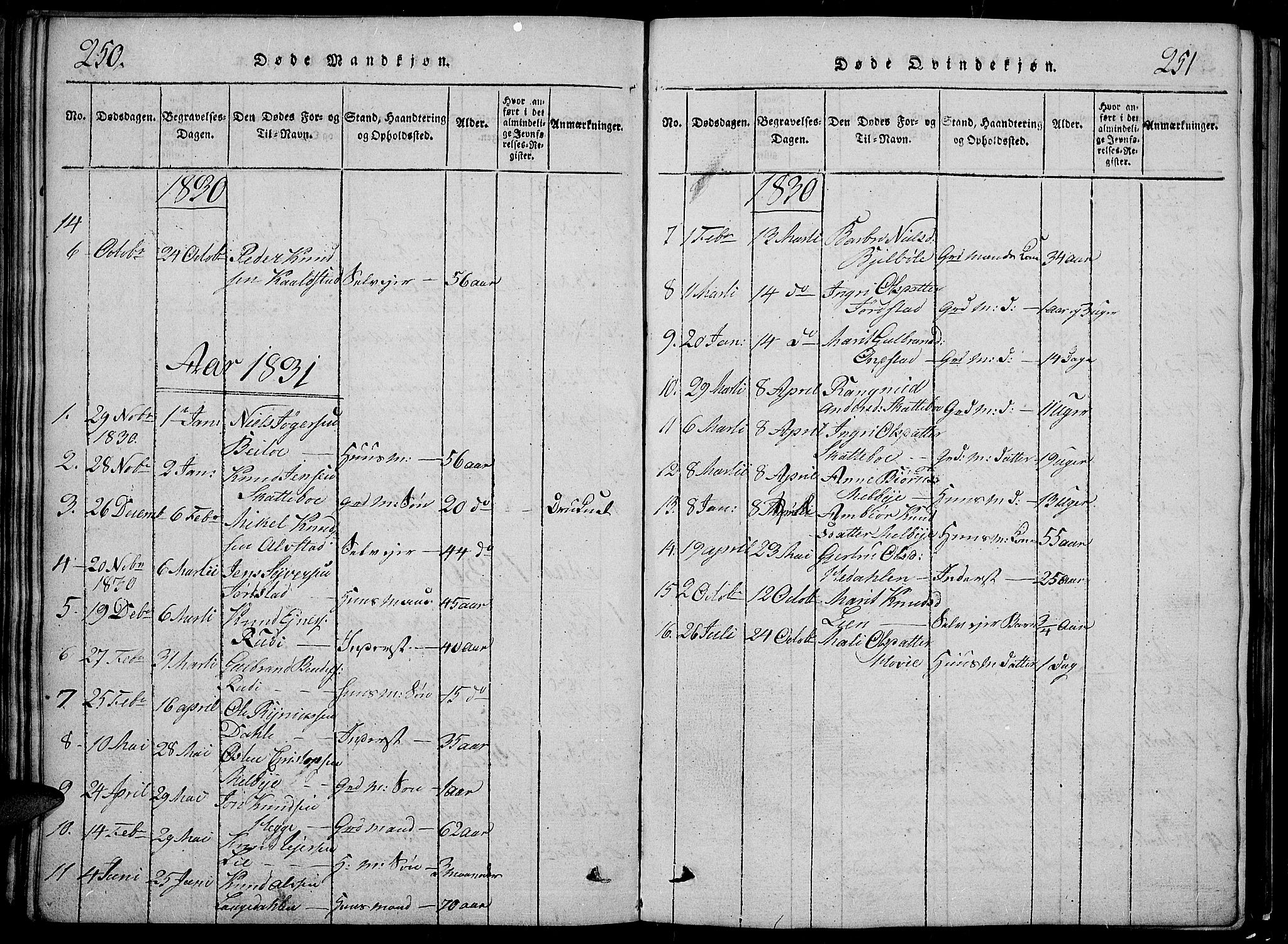 Slidre prestekontor, SAH/PREST-134/H/Ha/Hab/L0002: Parish register (copy) no. 2, 1814-1839, p. 250-251