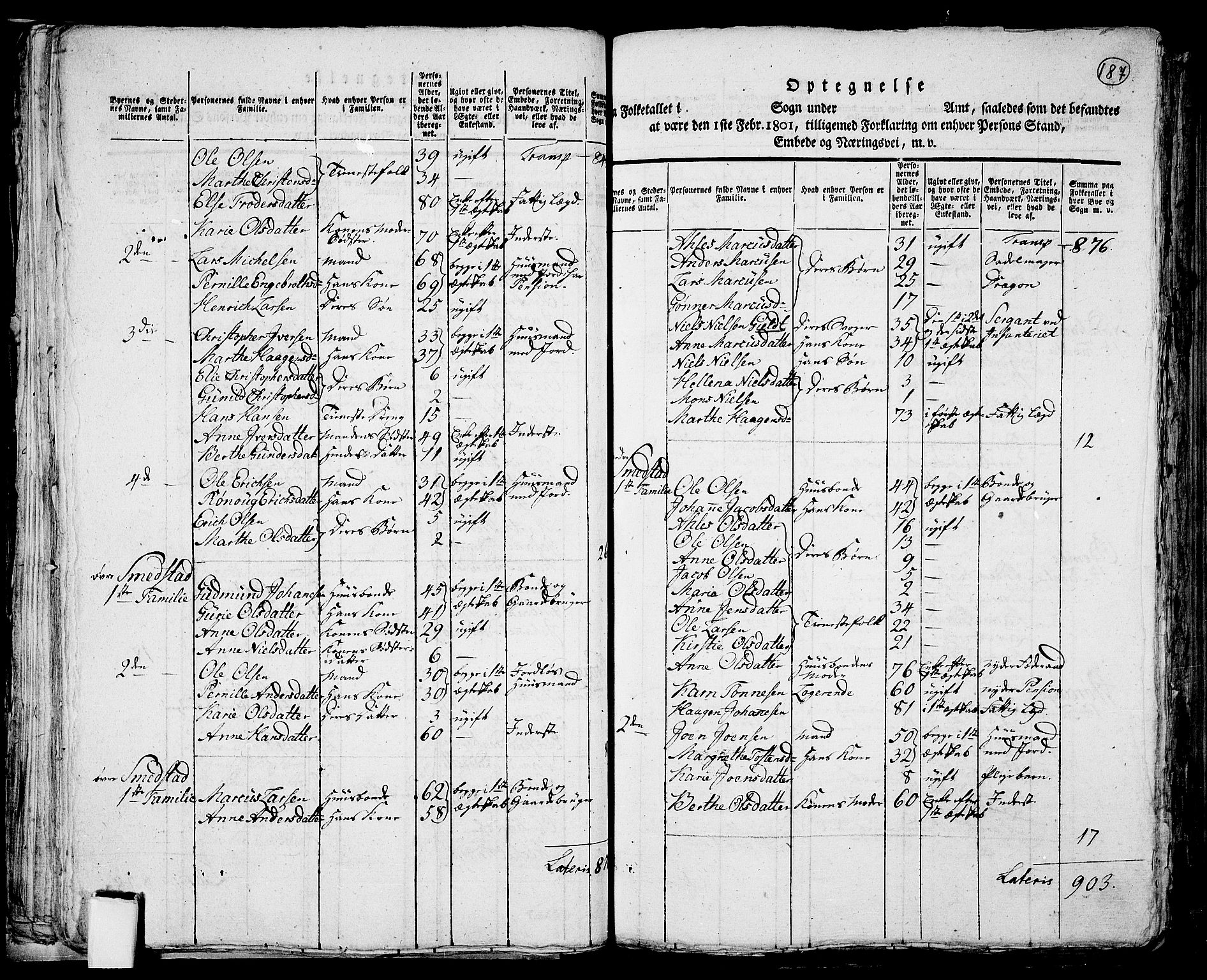 RA, 1801 census for 0412P Ringsaker, 1801, p. 186b-187a