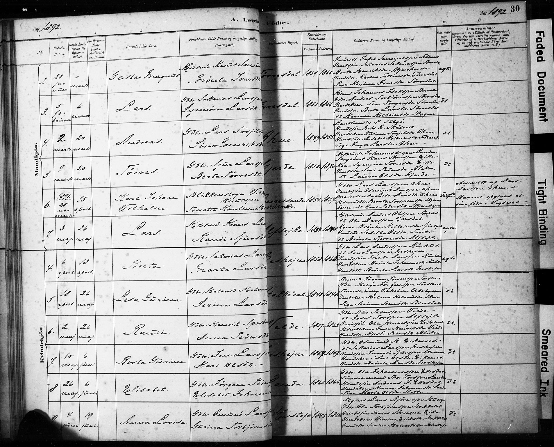 Skjold sokneprestkontor, AV/SAST-A-101847/H/Ha/Haa/L0009: Parish register (official) no. A 9, 1882-1898, p. 30