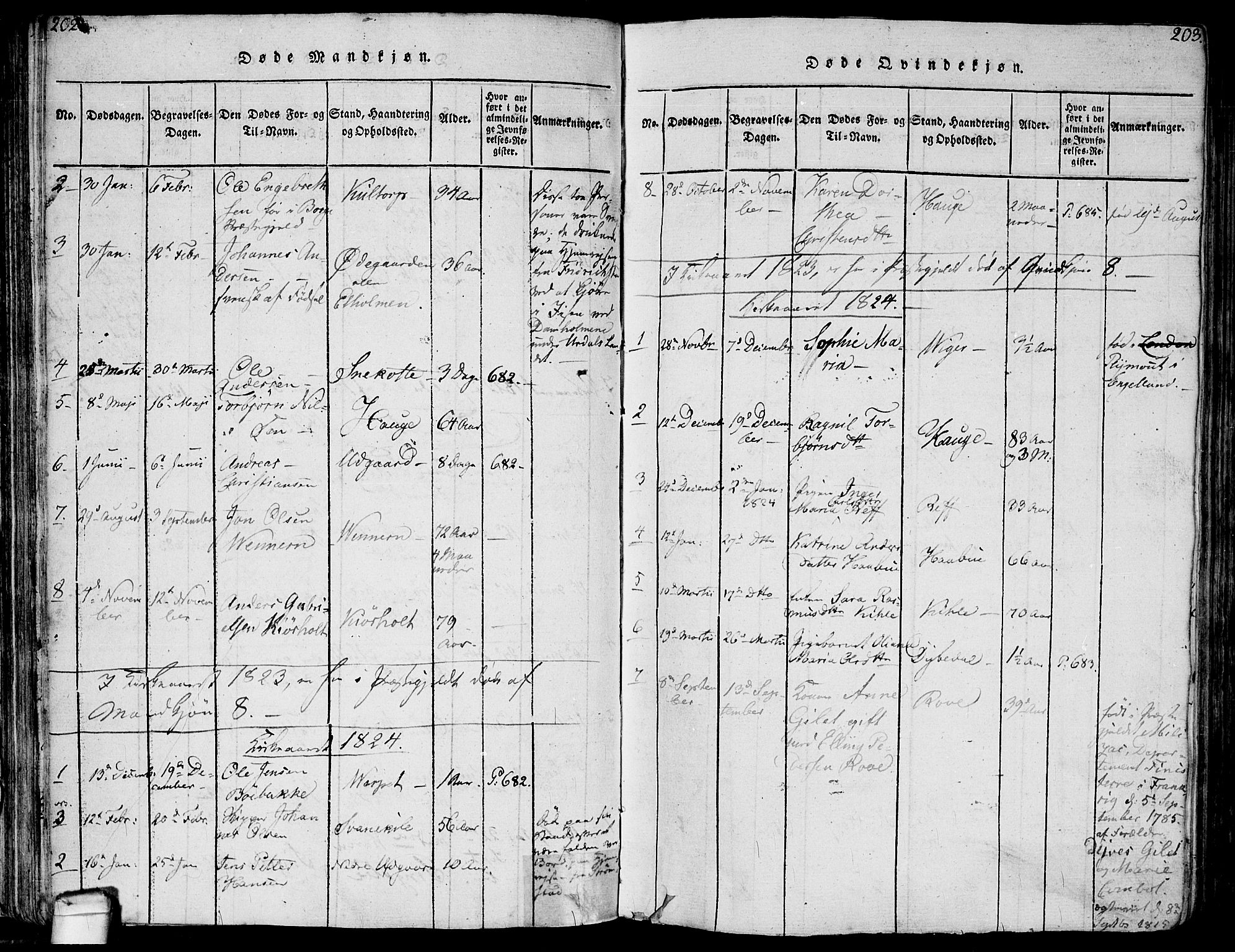 Hvaler prestekontor Kirkebøker, SAO/A-2001/F/Fa/L0005: Parish register (official) no. I 5, 1816-1845, p. 202-203