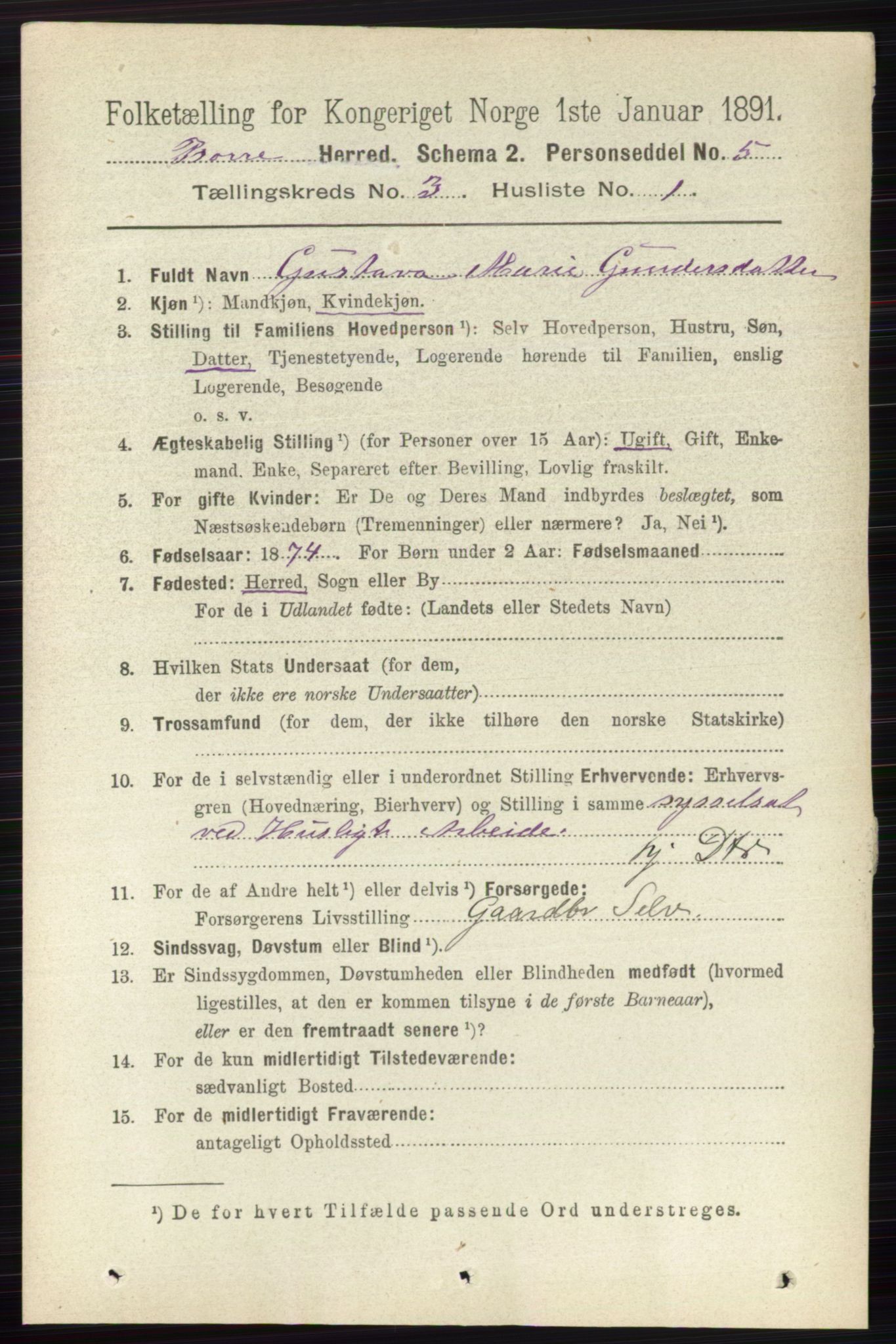 RA, 1891 census for 0717 Borre, 1891, p. 1219