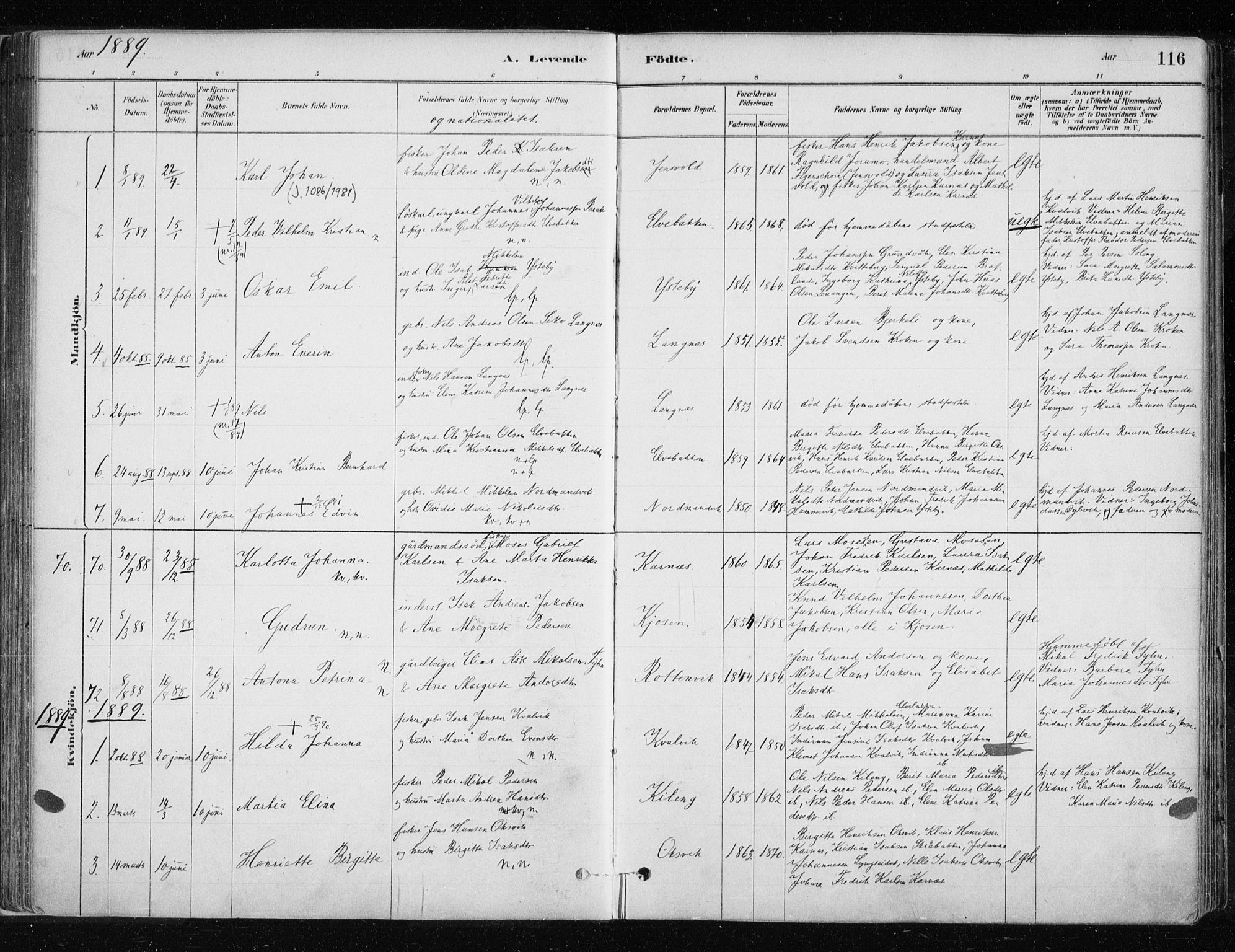 Lyngen sokneprestembete, SATØ/S-1289/H/He/Hea/L0007kirke: Parish register (official) no. 7, 1879-1890, p. 116