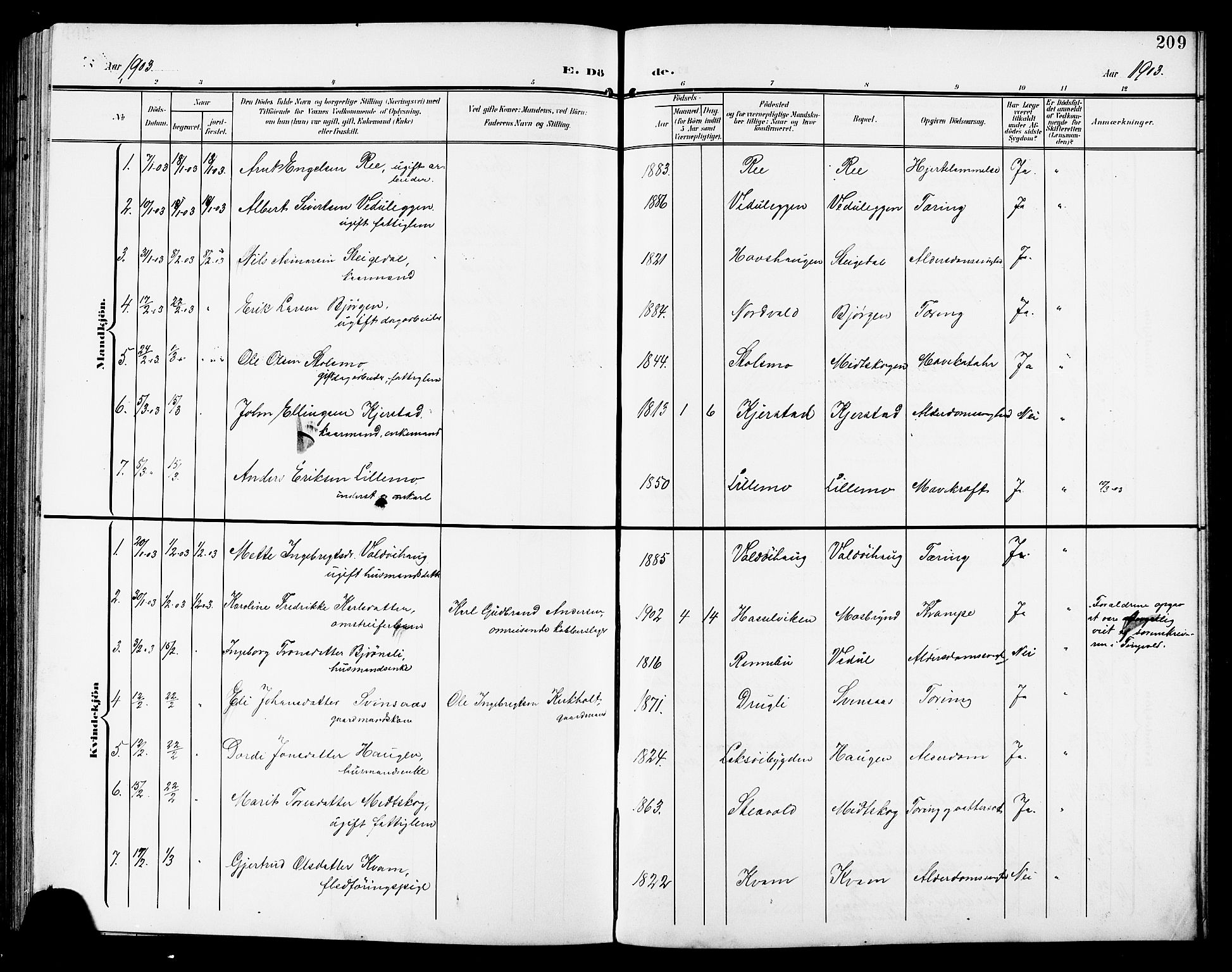 Ministerialprotokoller, klokkerbøker og fødselsregistre - Sør-Trøndelag, SAT/A-1456/672/L0864: Parish register (copy) no. 672C03, 1902-1914, p. 209