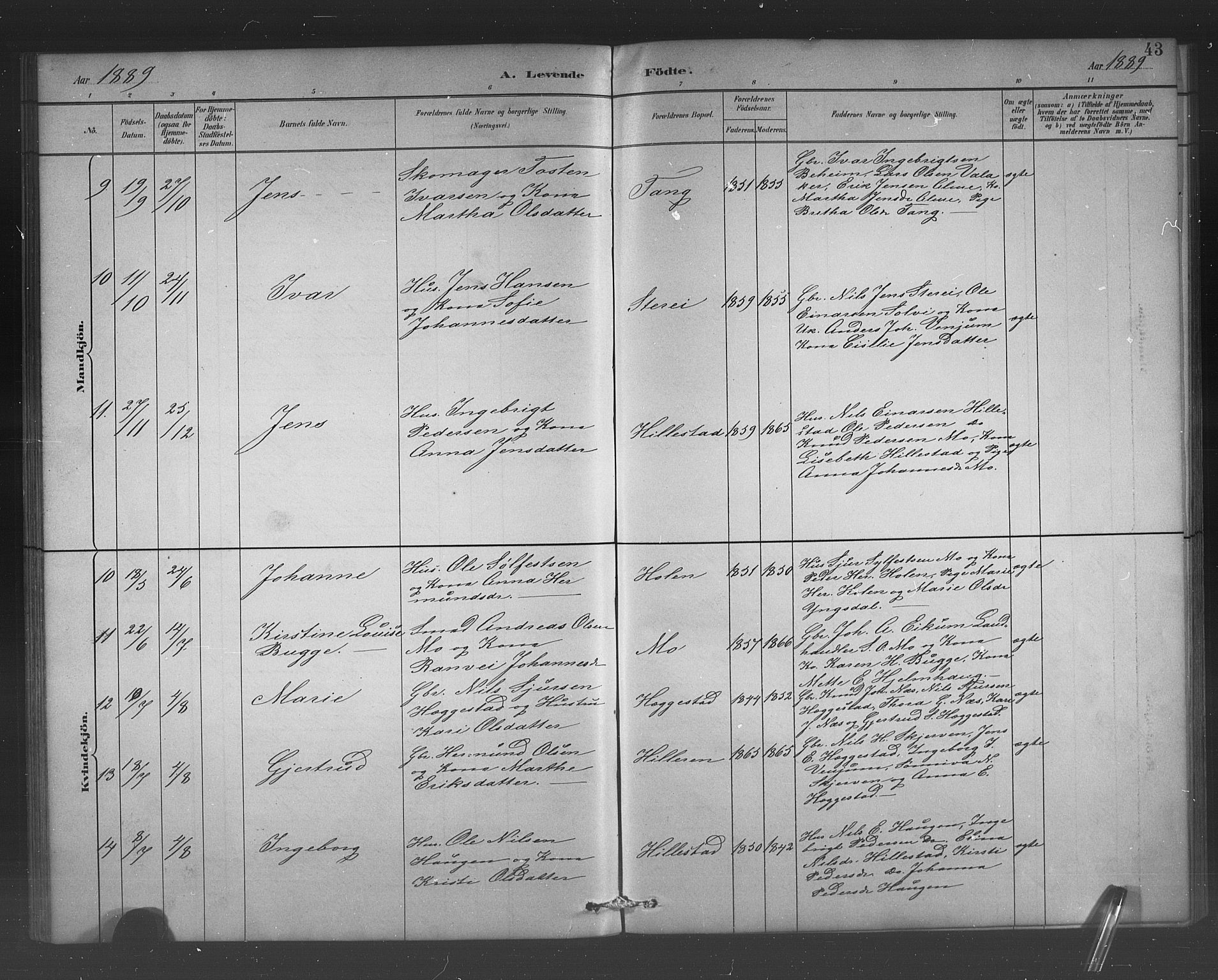 Hafslo sokneprestembete, AV/SAB-A-80301/H/Hab/Habb/L0001: Parish register (copy) no. B 1, 1882-1908, p. 43