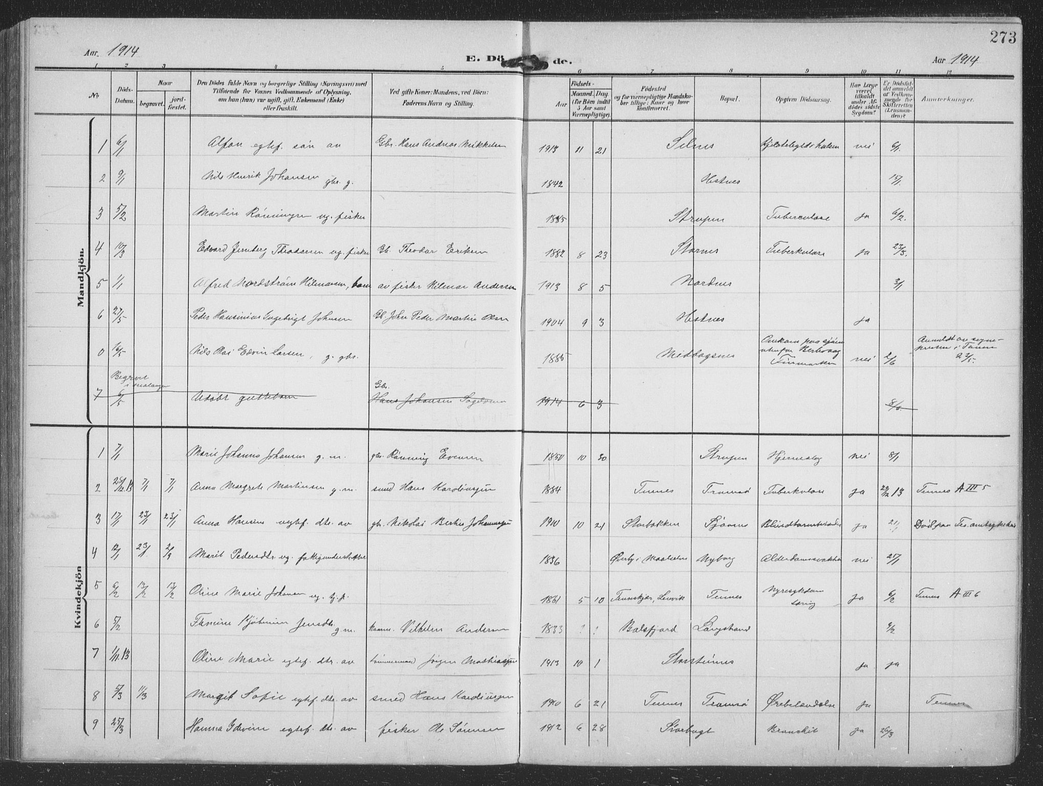 Balsfjord sokneprestembete, SATØ/S-1303/G/Ga/L0009klokker: Parish register (copy) no. 9, 1906-1920, p. 273